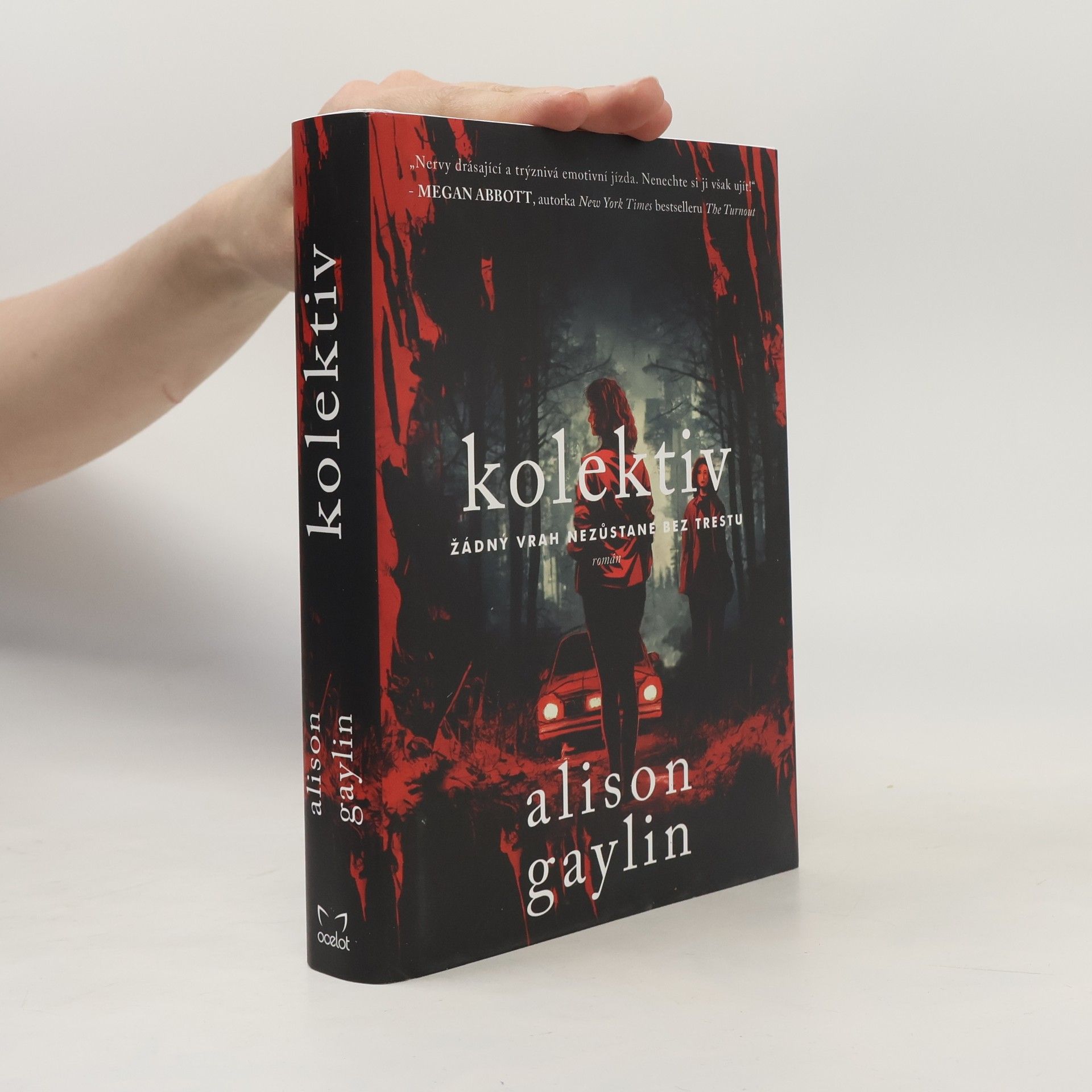 Alison Gaylin Kolektiv