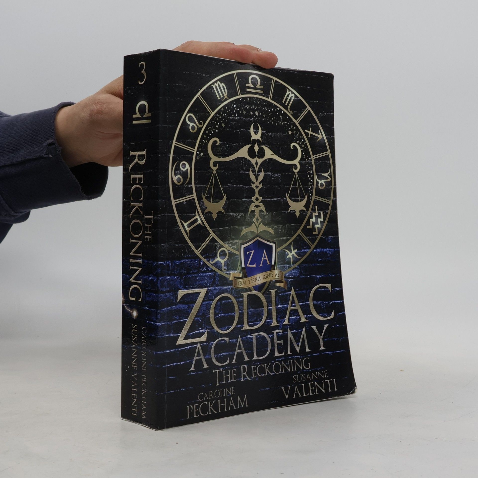 Zodiac Academy 3