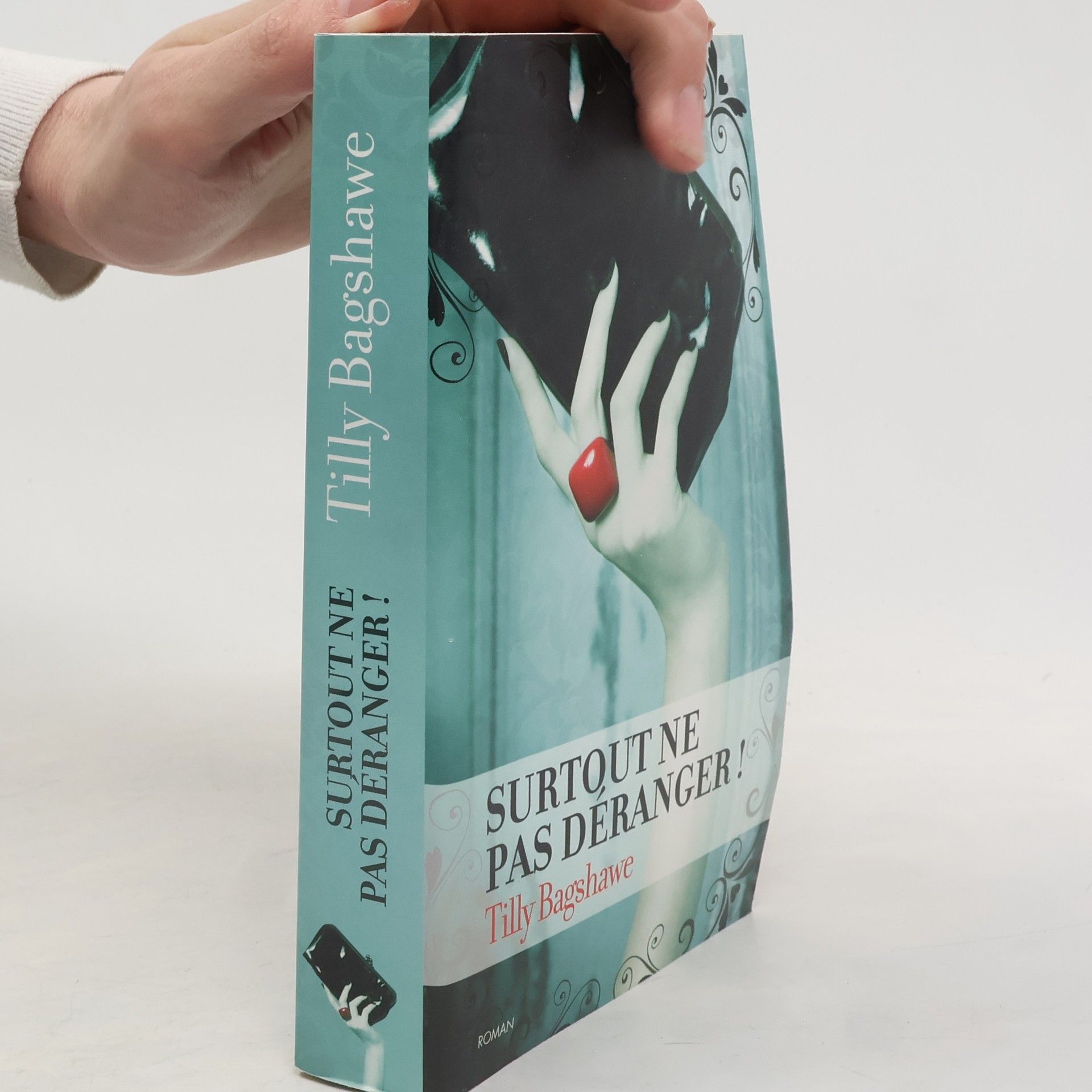 Tilly Bagshawe Surtout ne pas déranger !