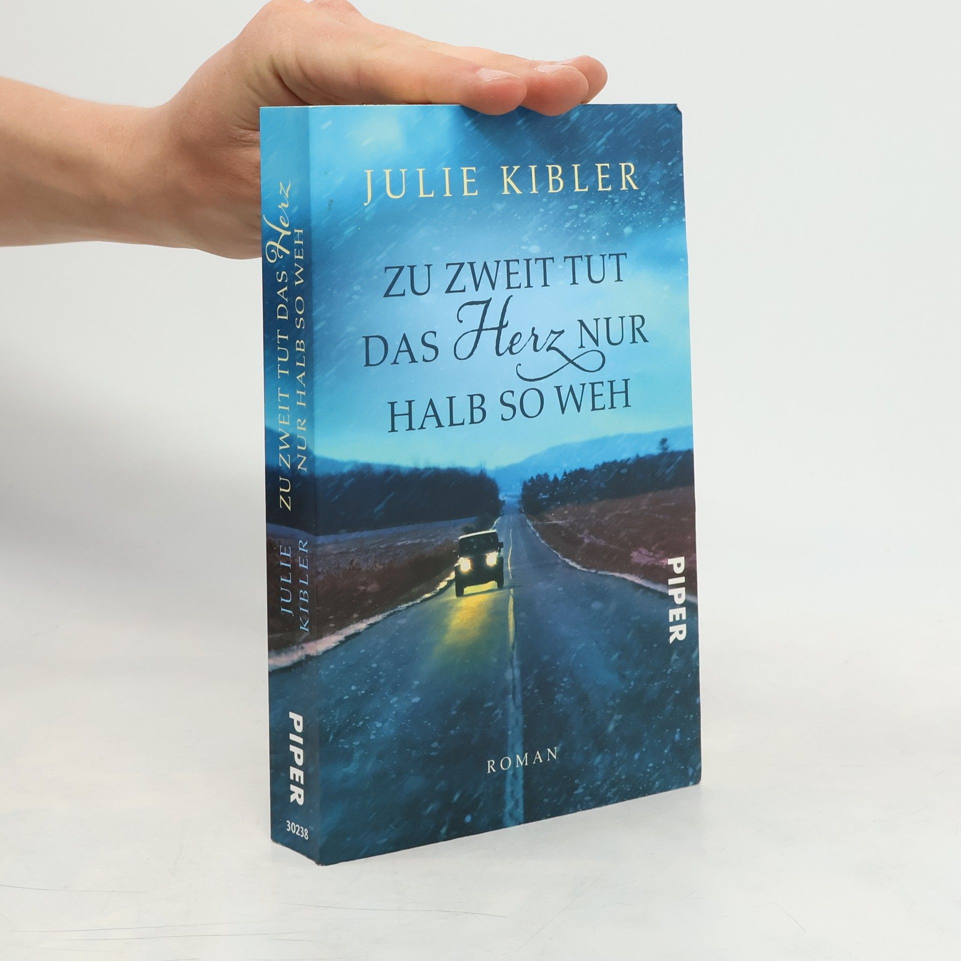 Julie Kibler Zu zweit tut das Herz nur halb so weh