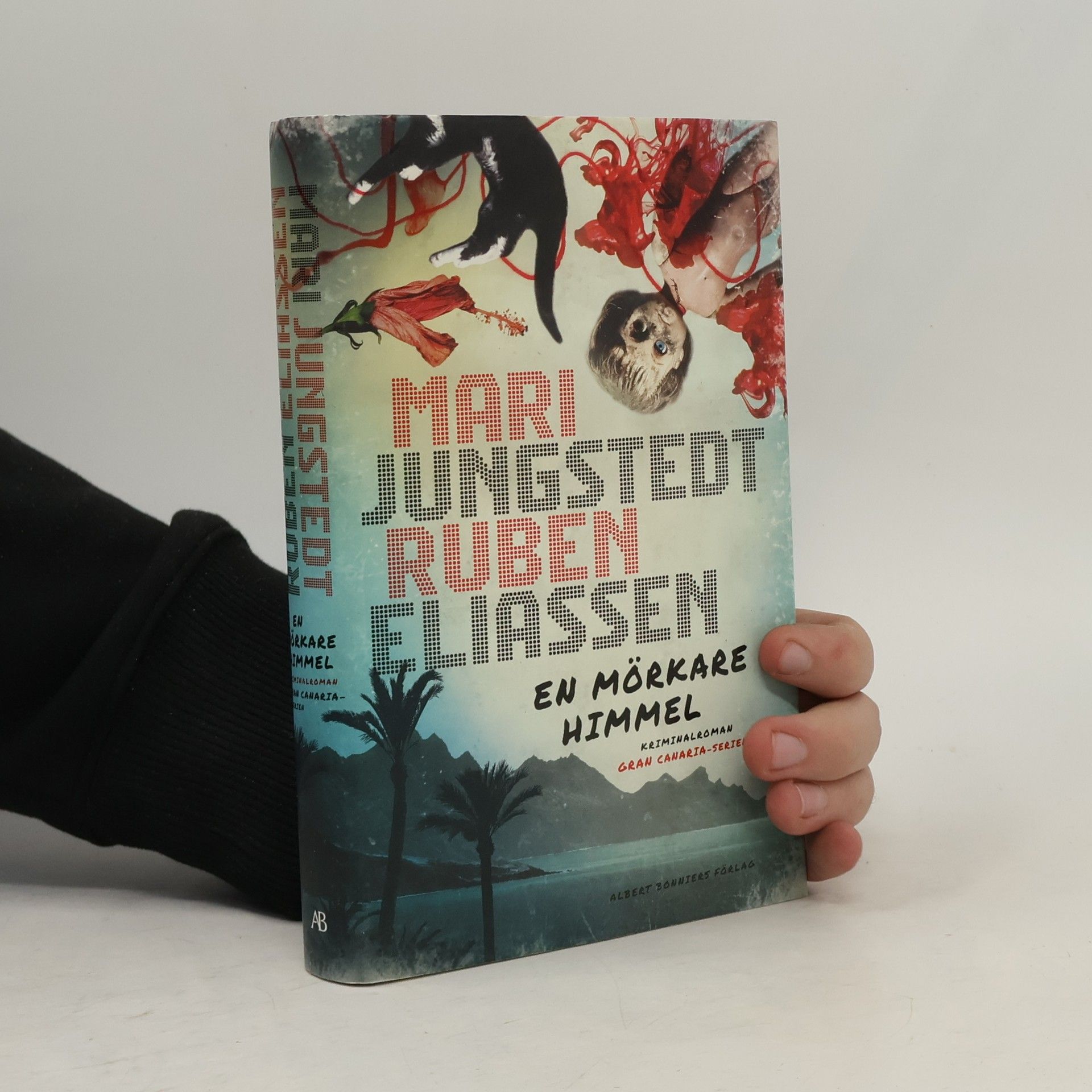 Ruben Eliassen En mörkare himmel