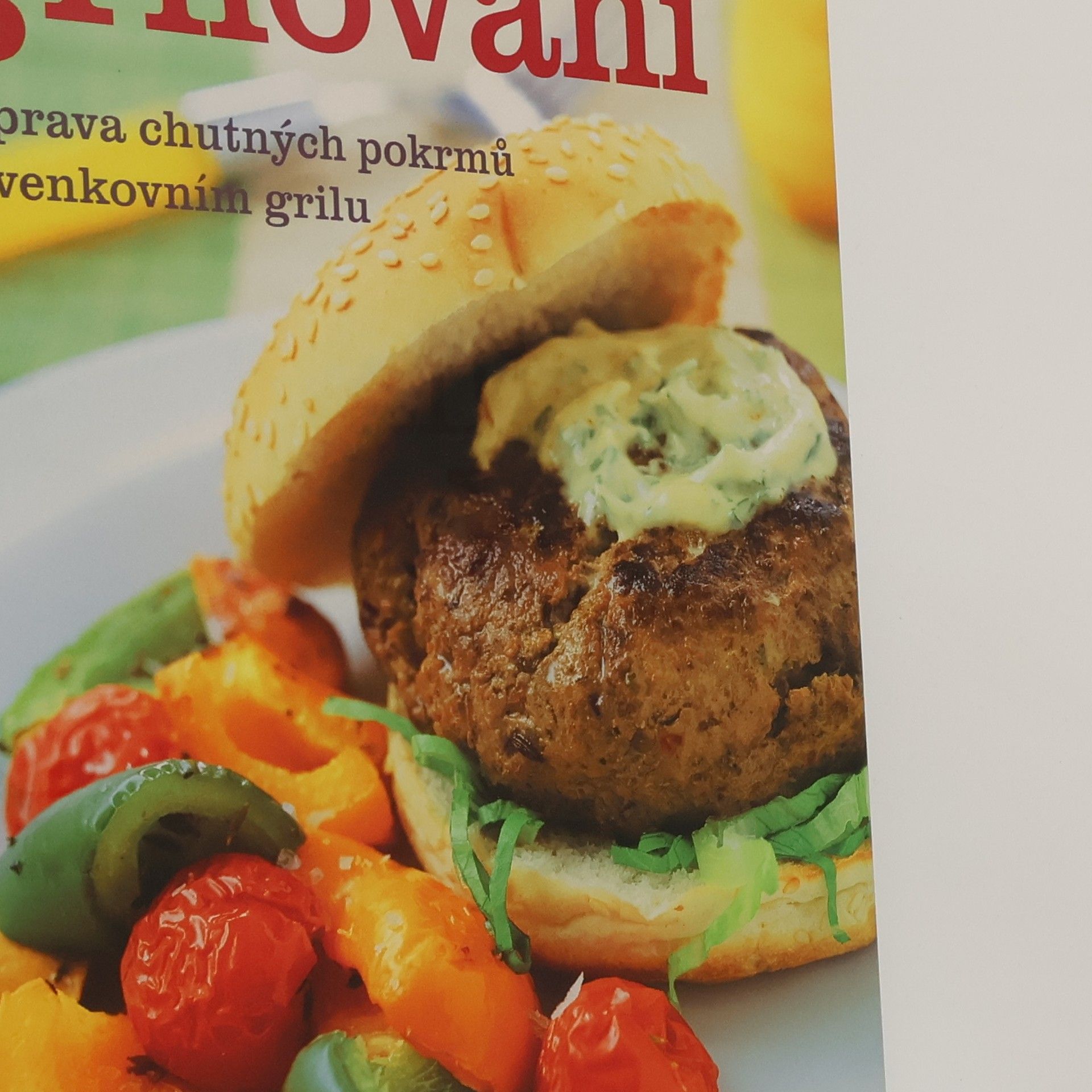 Autorenkollektiv Grilování. Příprava chutných pokrmů na venkovním grilu