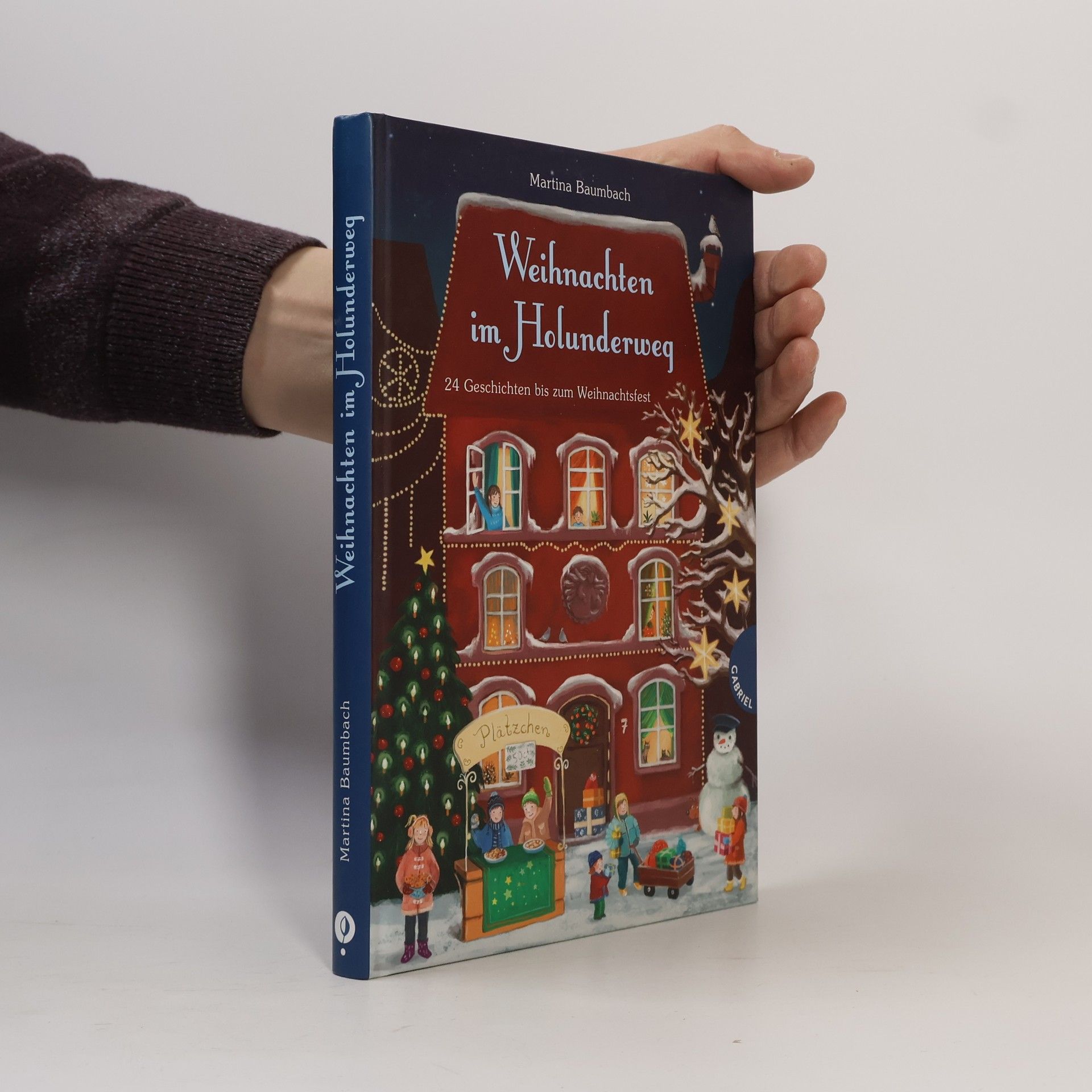 Martina Baumbach Weihnachten im Holunderweg