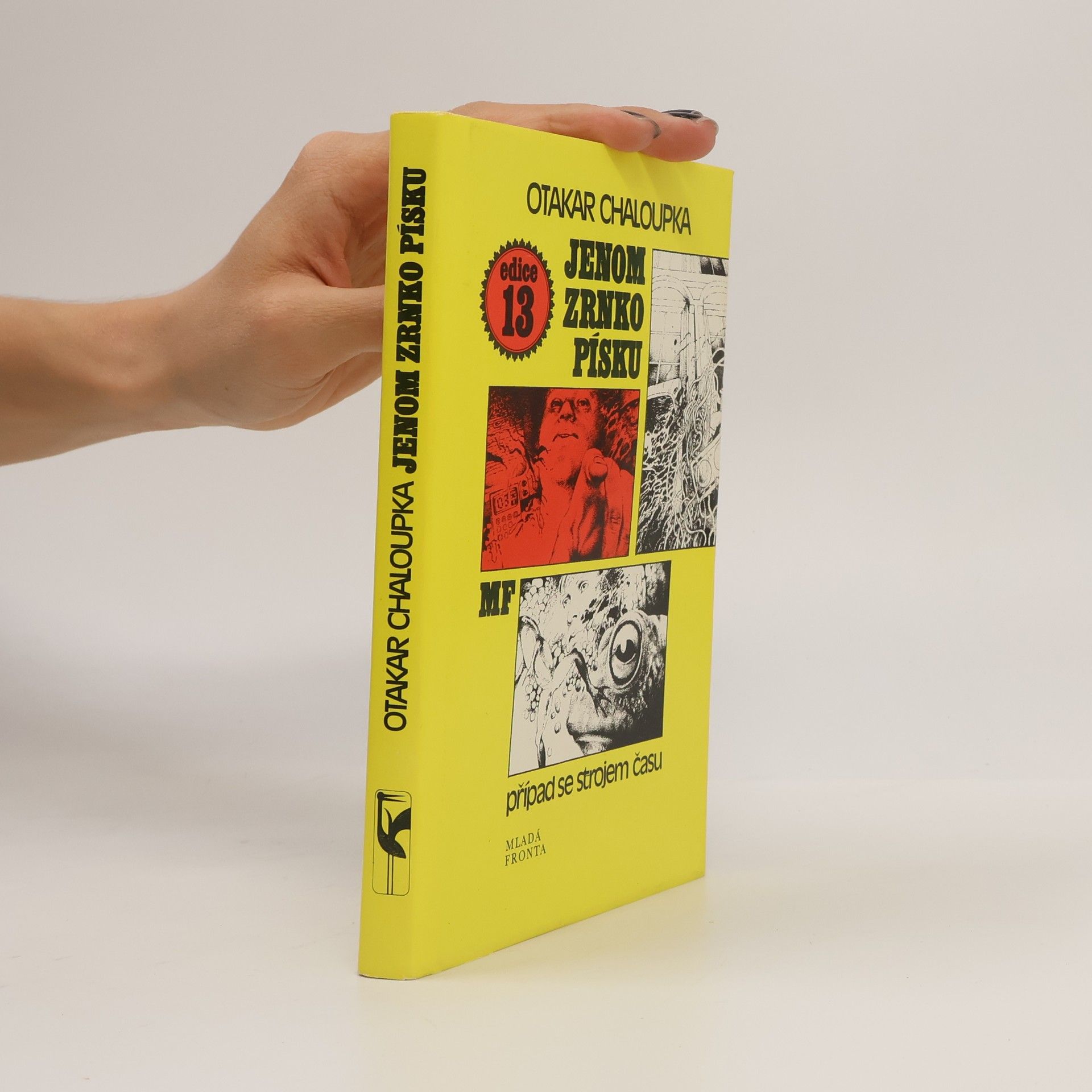 Otakar Chaloupka Jenom zrnko písku. Případ se strojem času