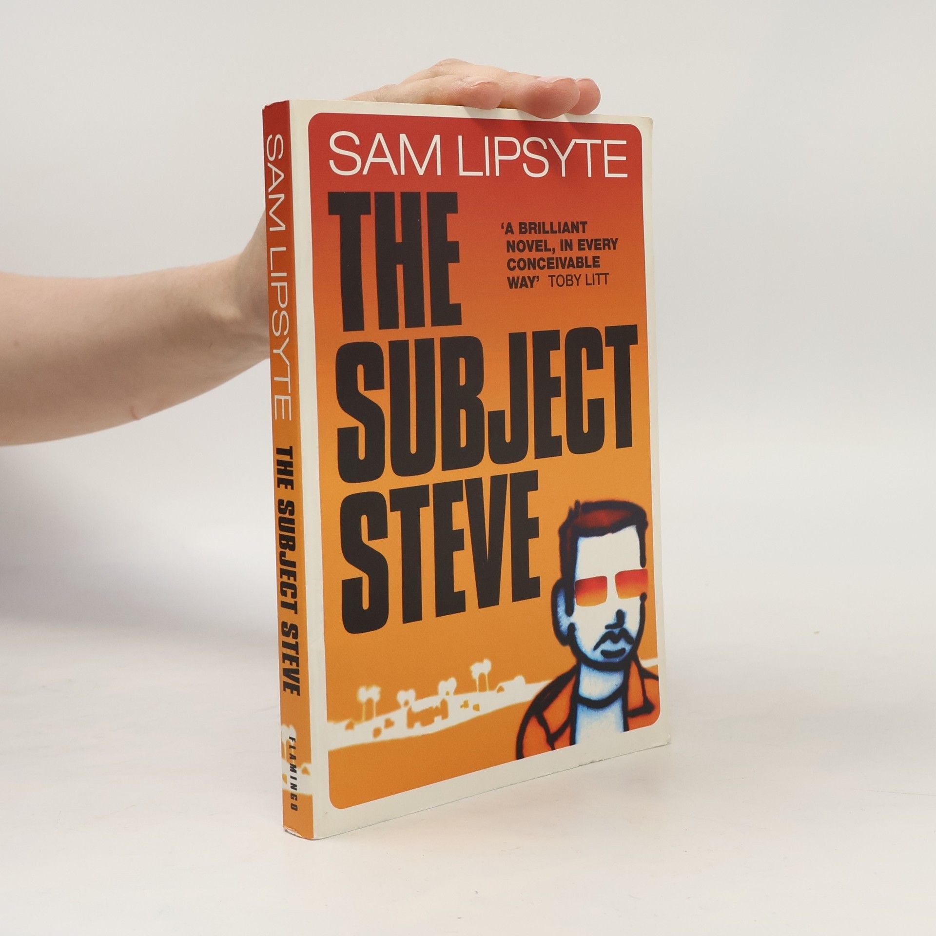 Sam Lipsyte The Subject Steve