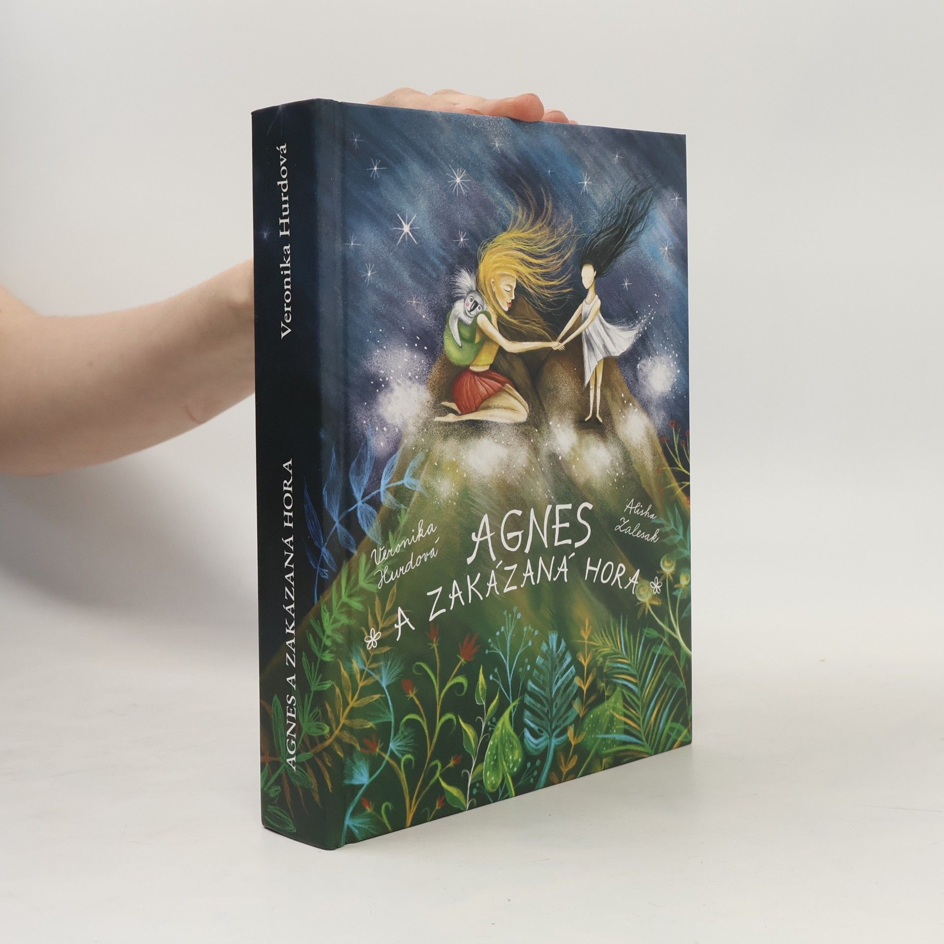 Alisha Zalesak Agnes a Zakázaná hora