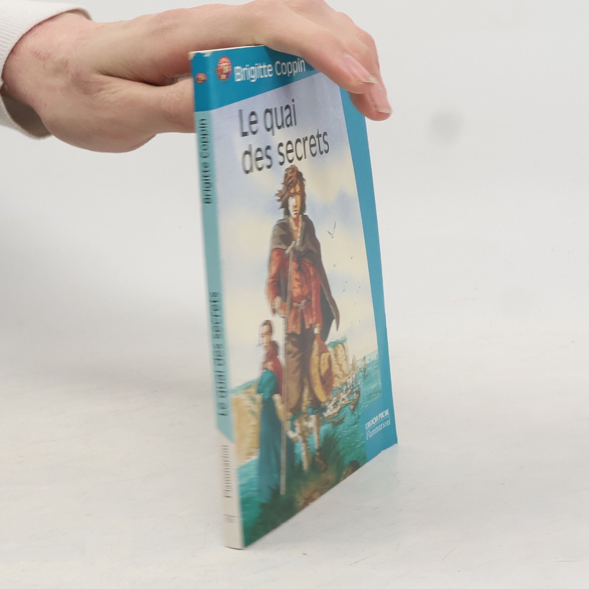 Brigitte Coppin Le Quai des secrets