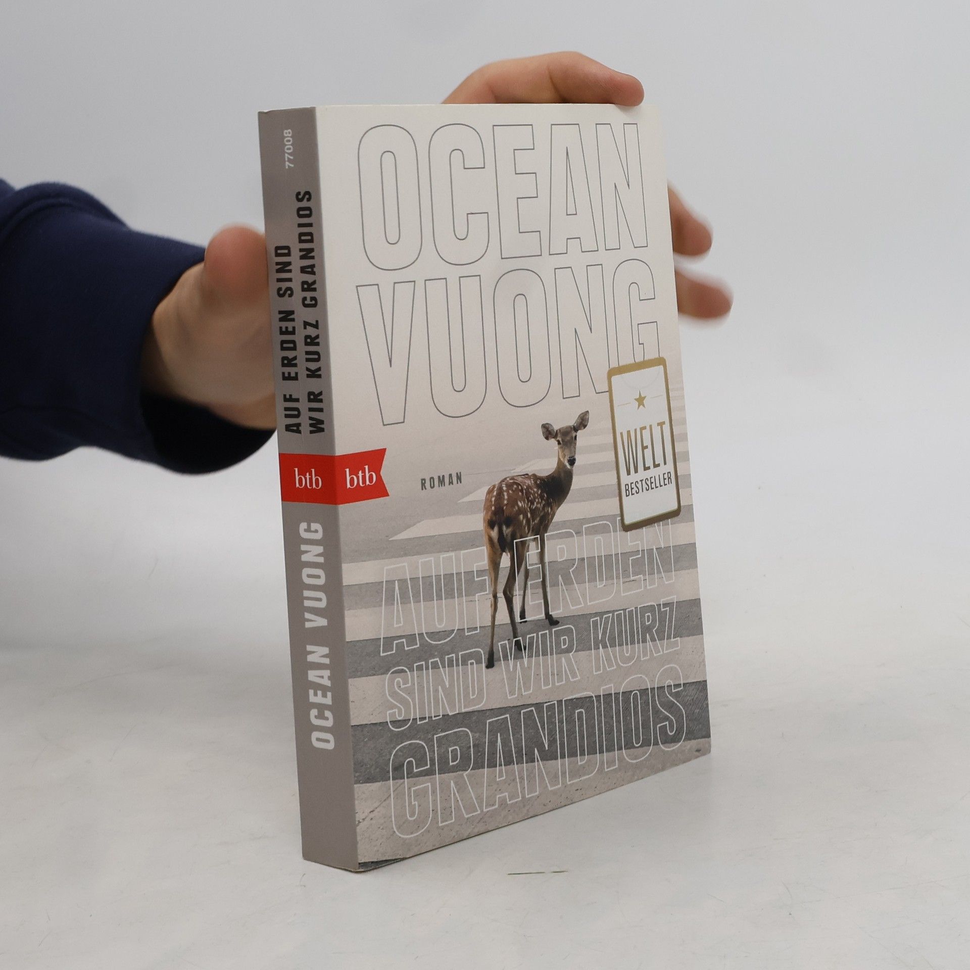 Ocean Vuong Auf Erden sind wir kurz grandios