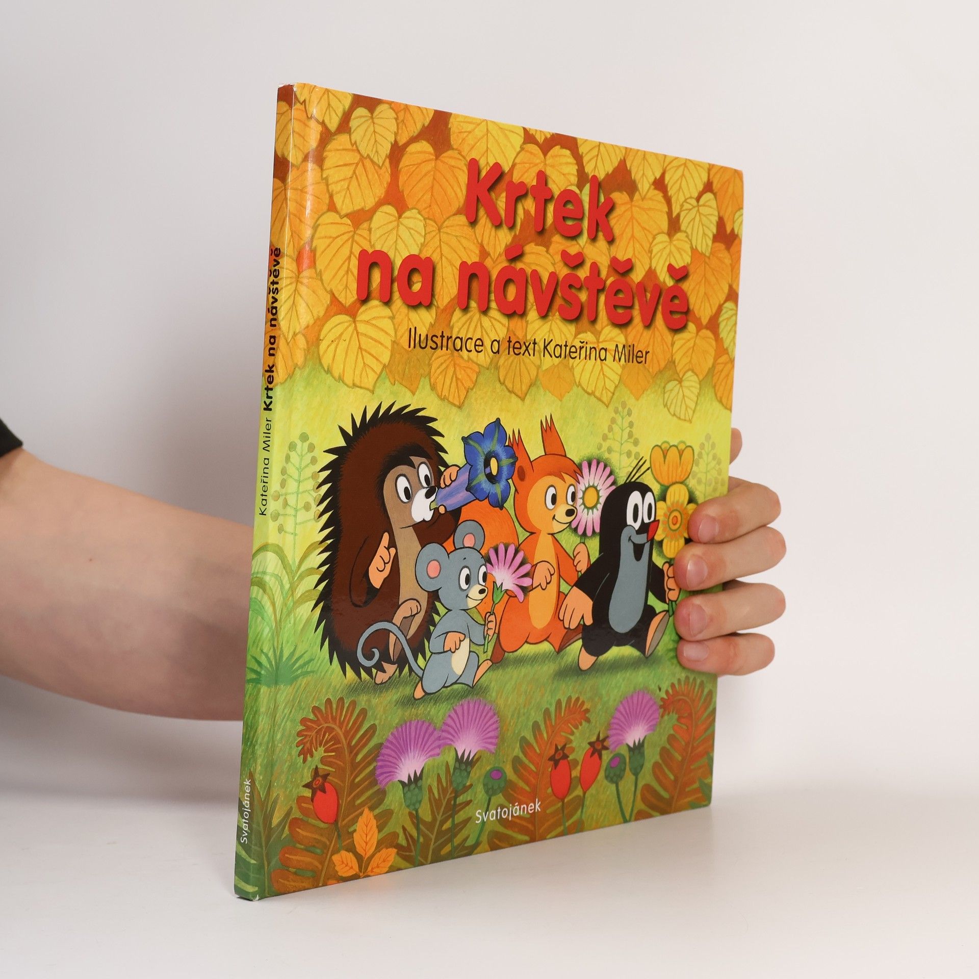 Kateřina Lovis Miler Krtek na návštěvě