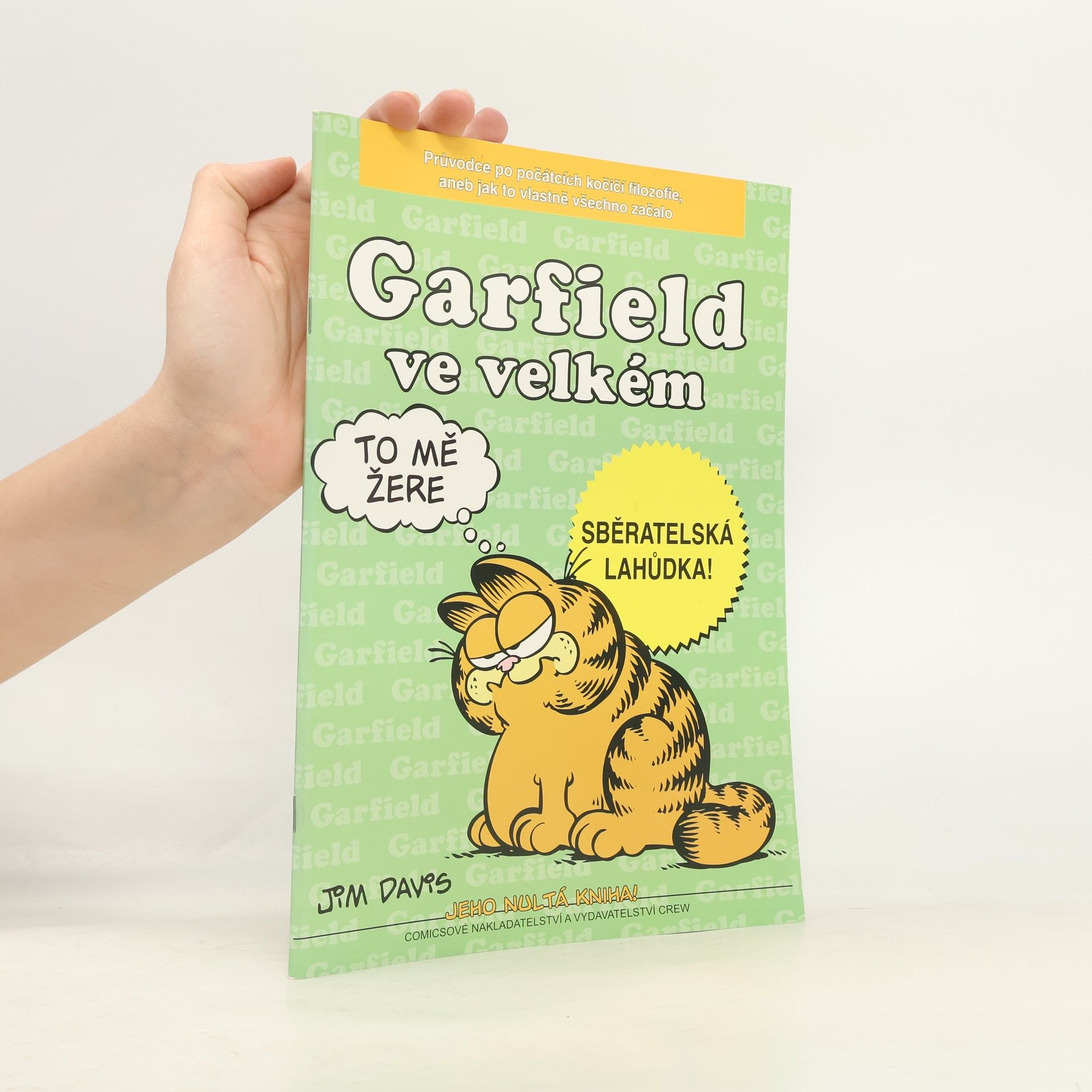 Jim Davis Garfield ve velkém