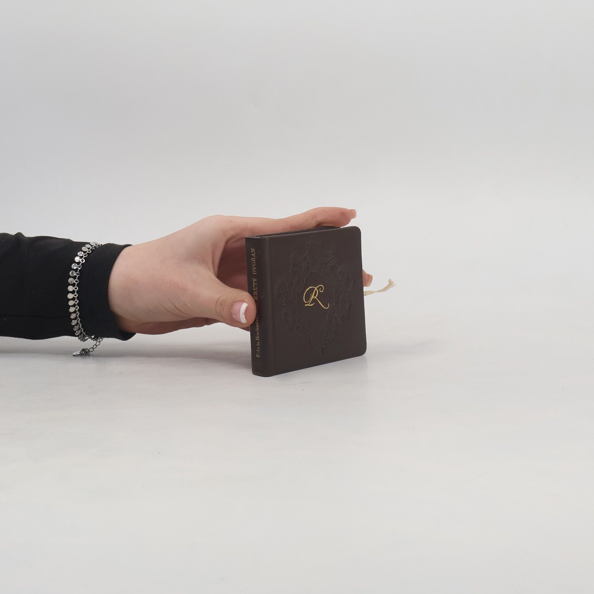 Jarmila Loukotková Krutý dvořan