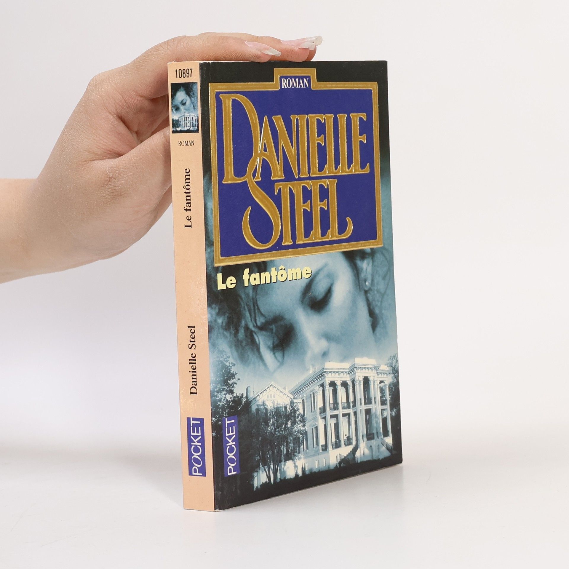 Danielle Steel Le fantôme