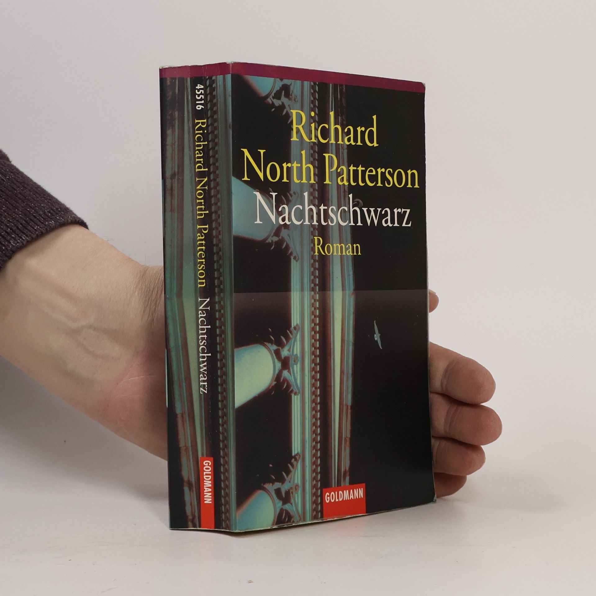 Richard North Patterson Nachtschwarz