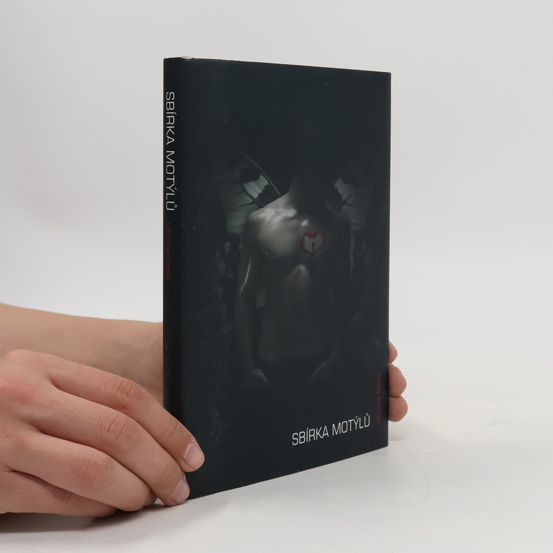 Viktorie Besó Sbírka motýlů