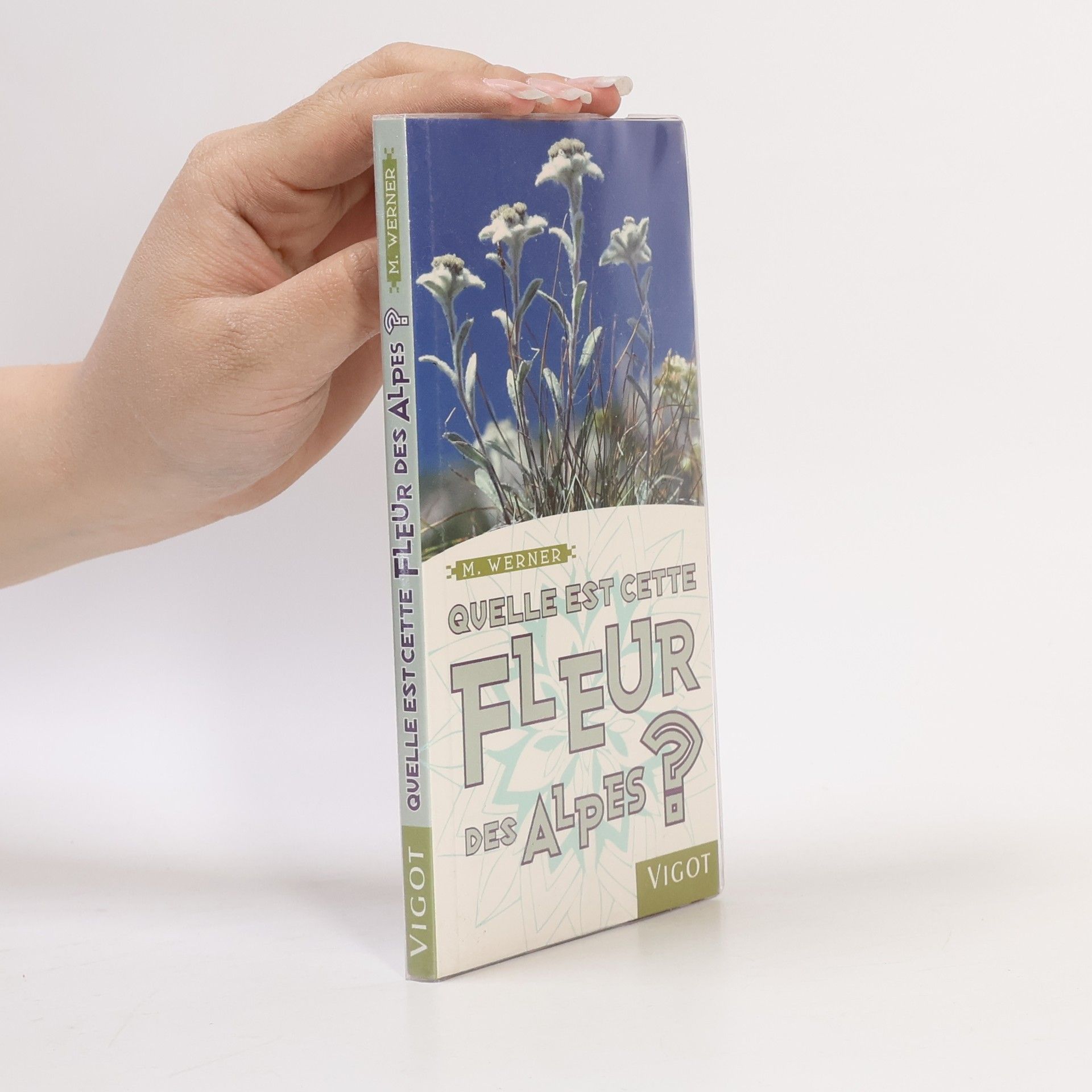 Manuel Werner Quelle est cette fleur des Alpes?
