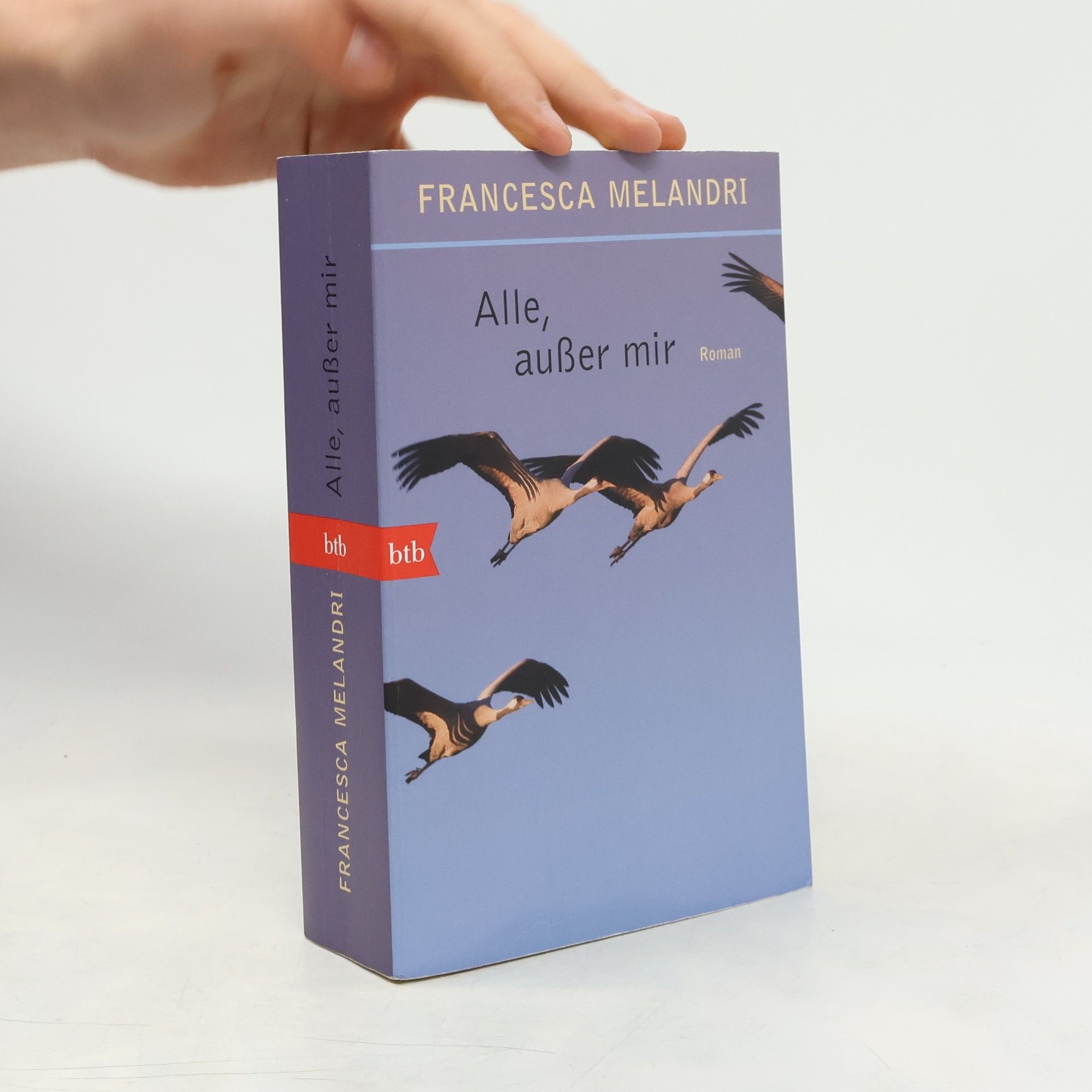 Francesca Melandri Alle, außer mir