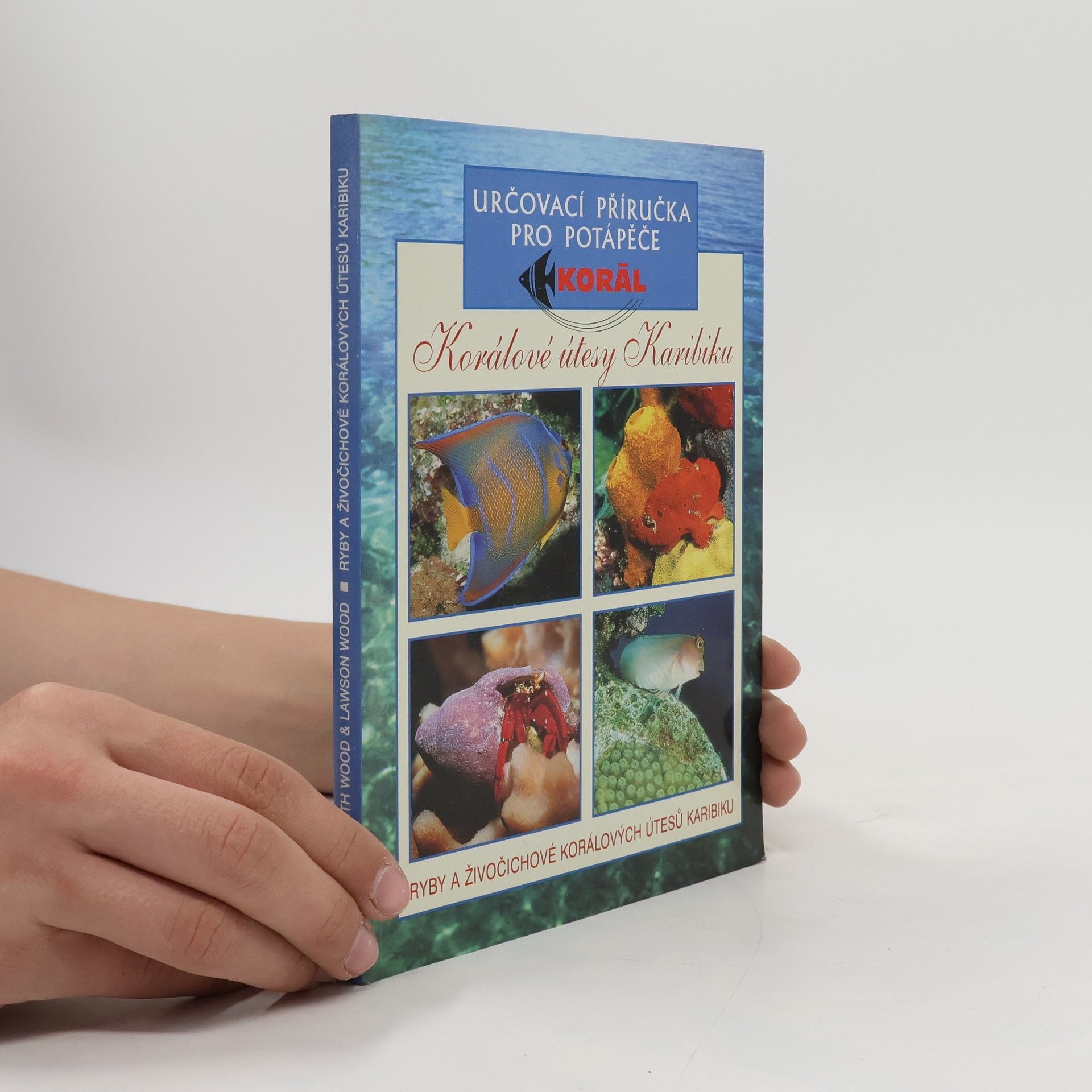 Elizabeth Wood Korálové útesy Karibiku