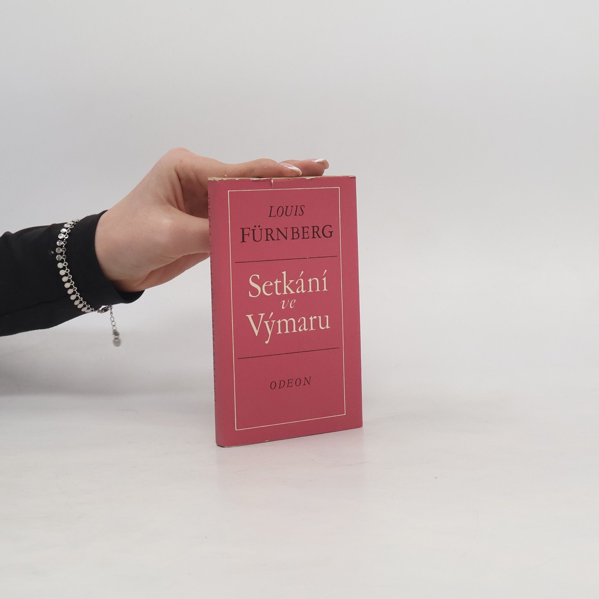 František Marek Setkání ve Výmaru