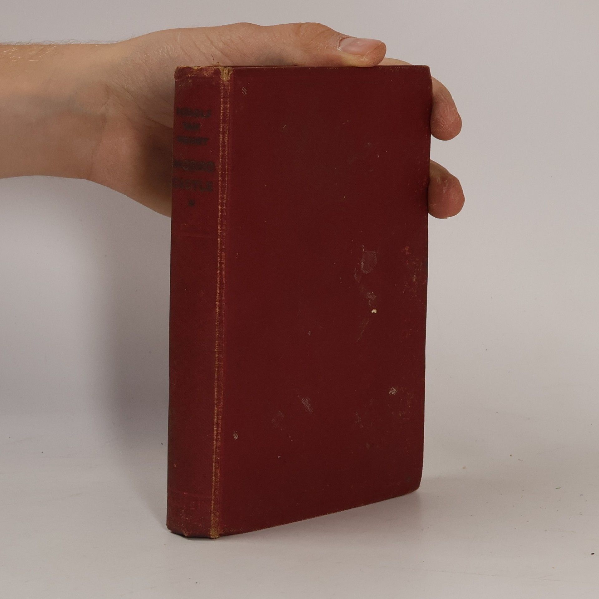 Rudolf van Wehrt Die Sterbestunde eines Schiffes