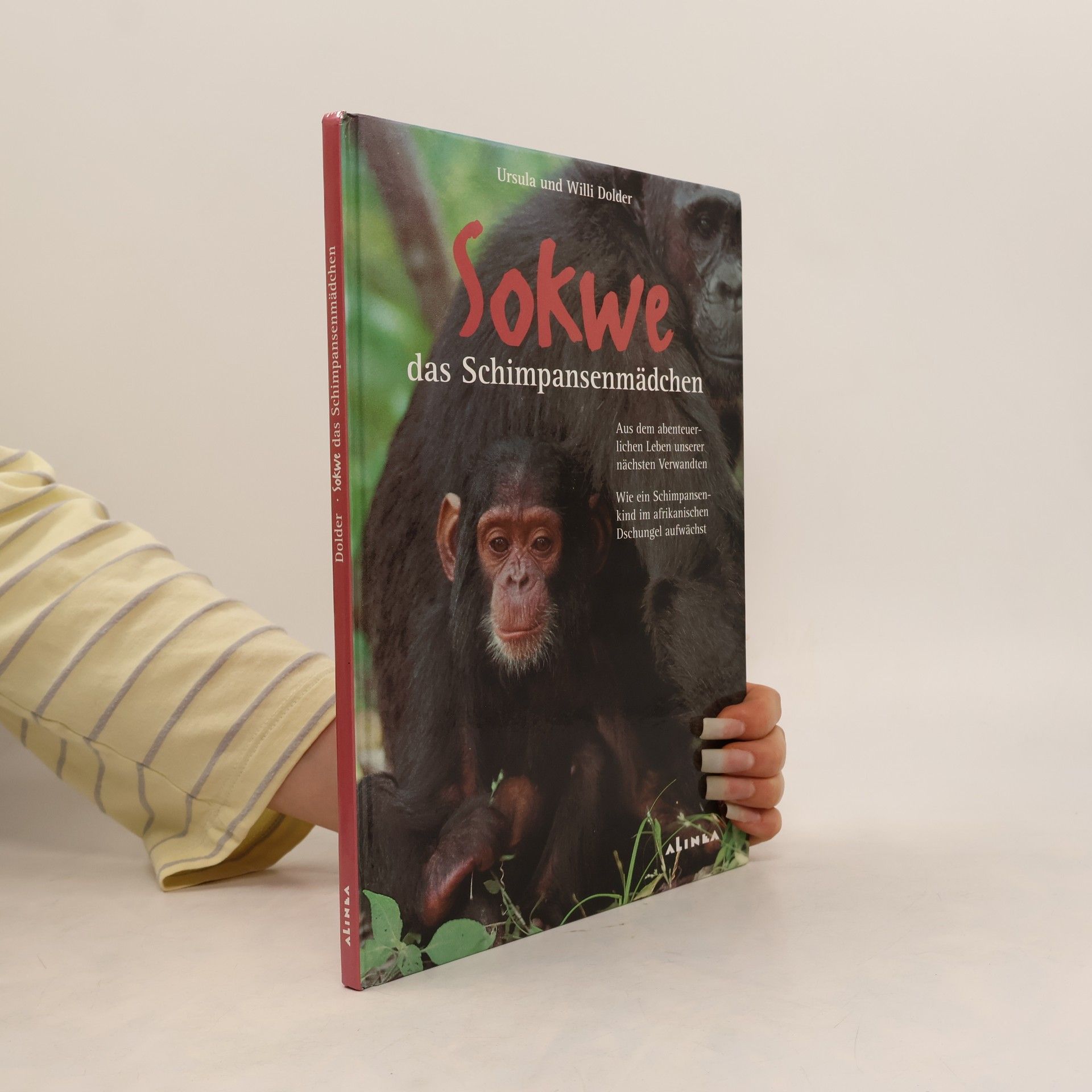 Willi Dolder Sokwe. Das Schimpansenmädchen