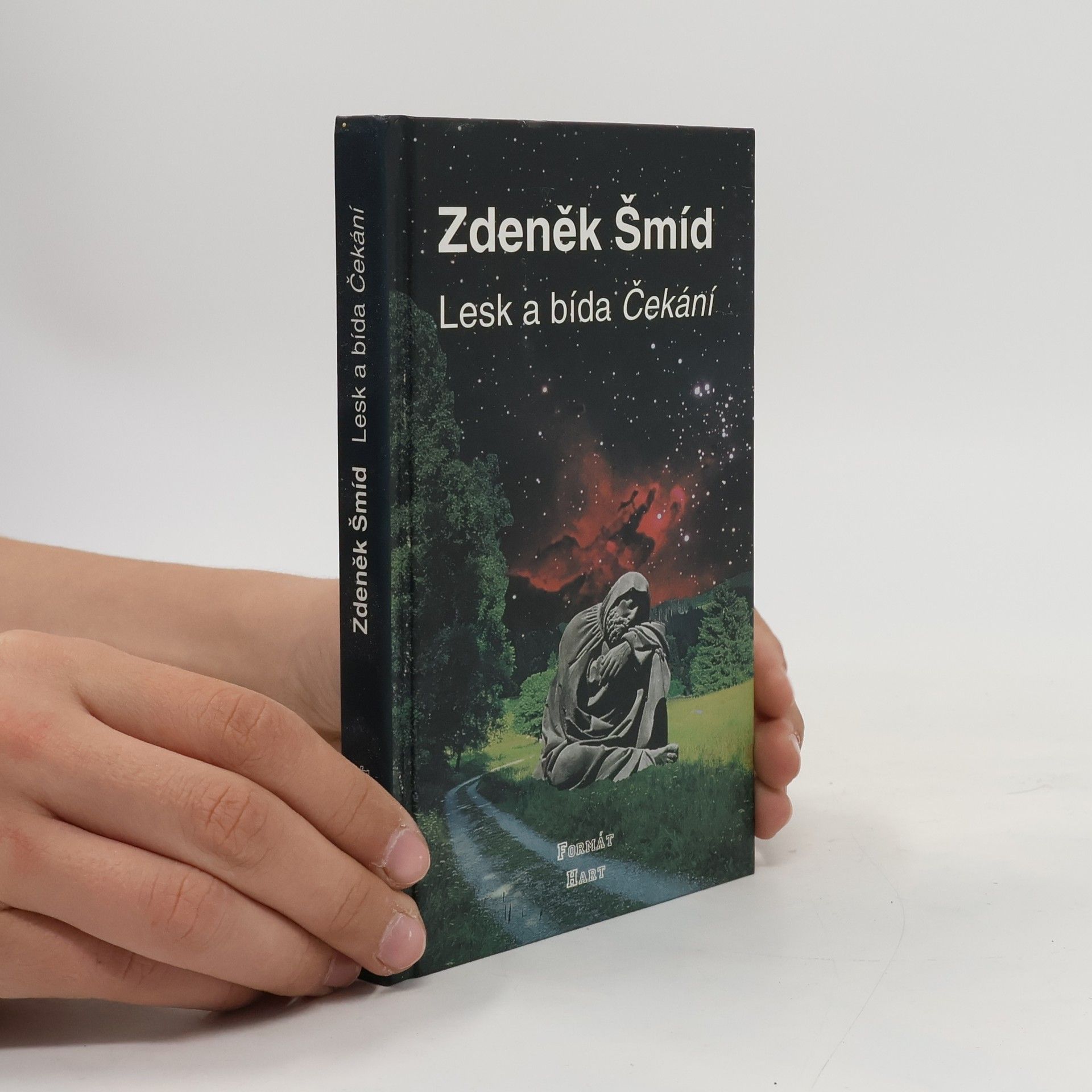 Zdeněk Šmíd Lesk a bída Čekání
