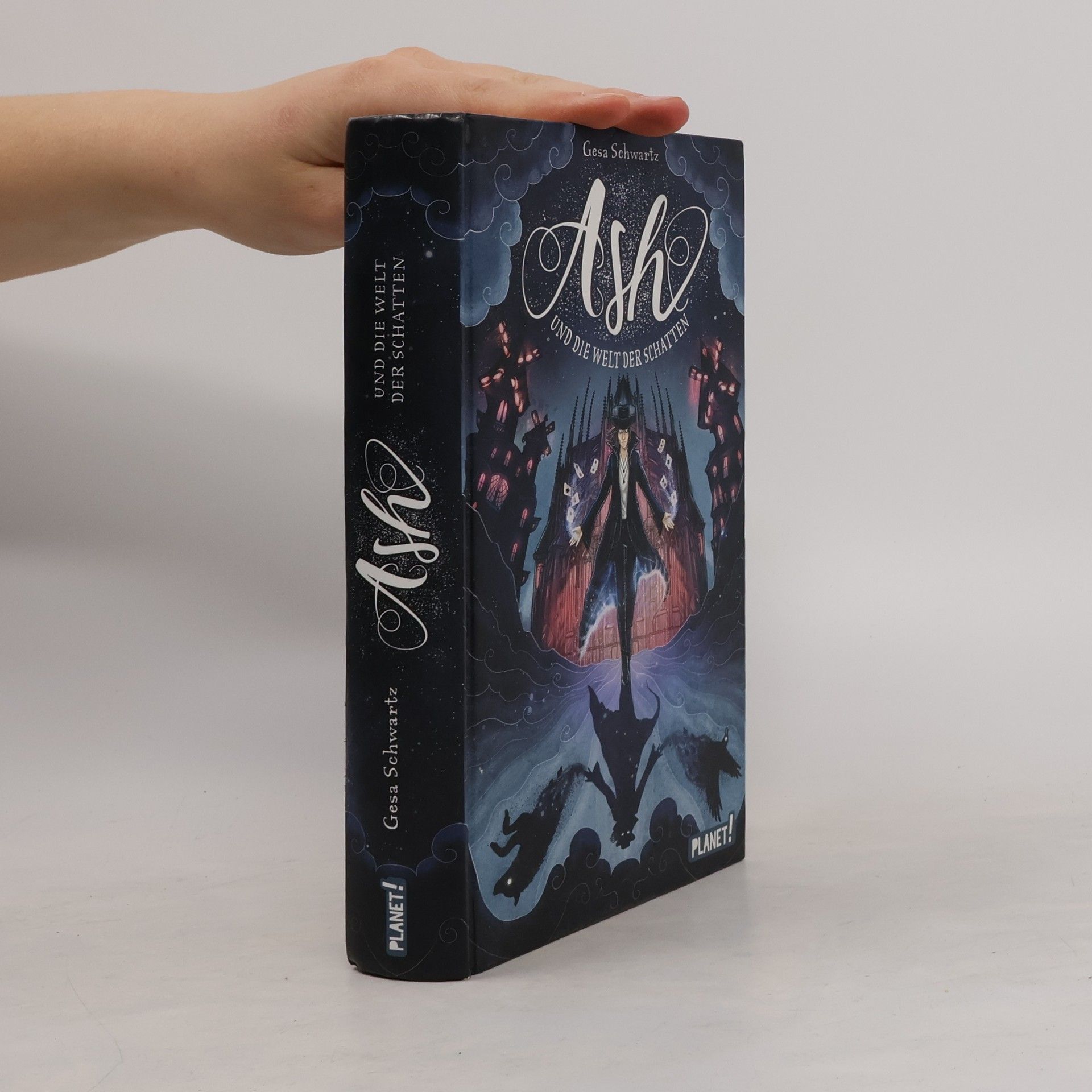 Gesa Schwartz Ash und die Welt der Schatten