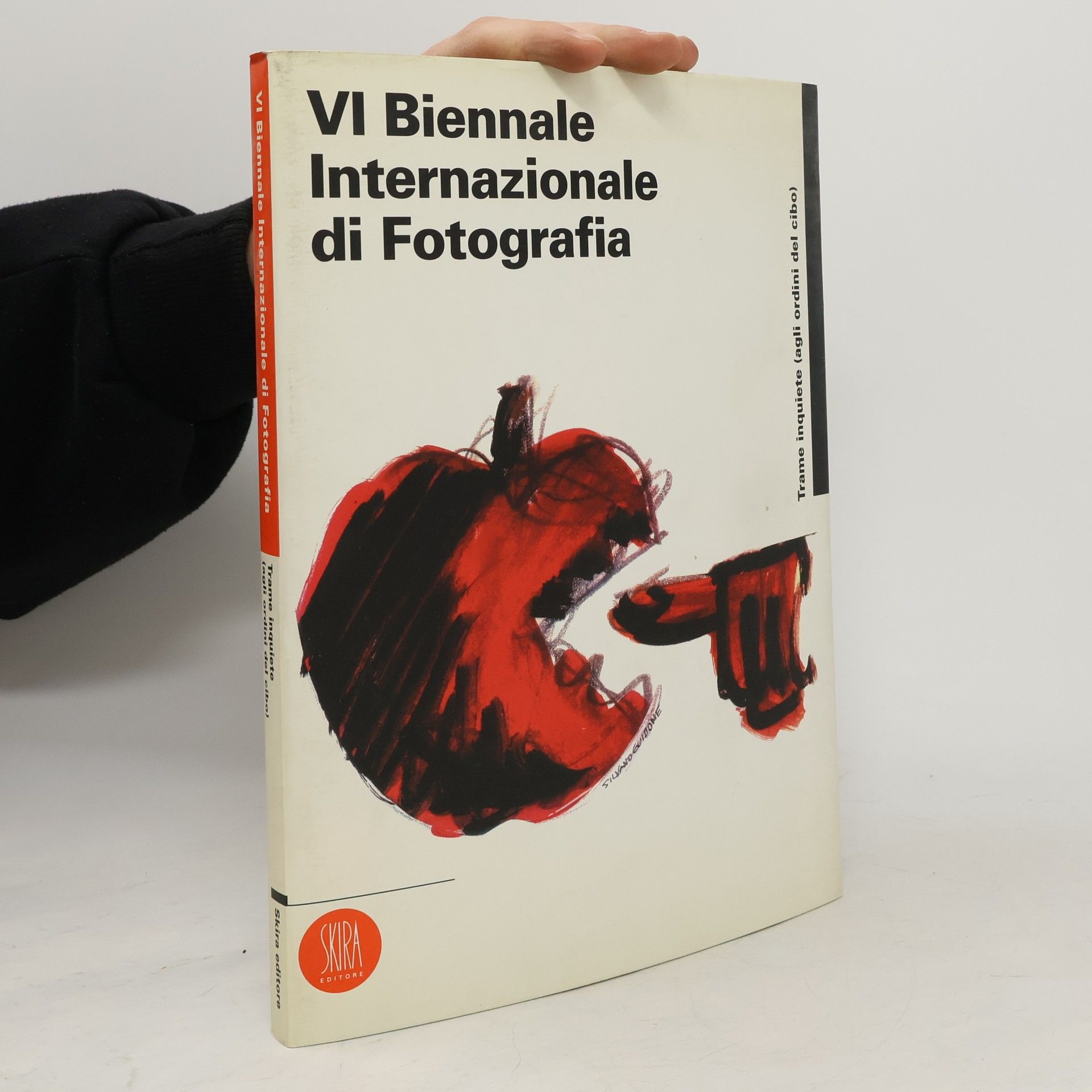 Kolektiv autorů VI Biennale Internazionale di Fotografia