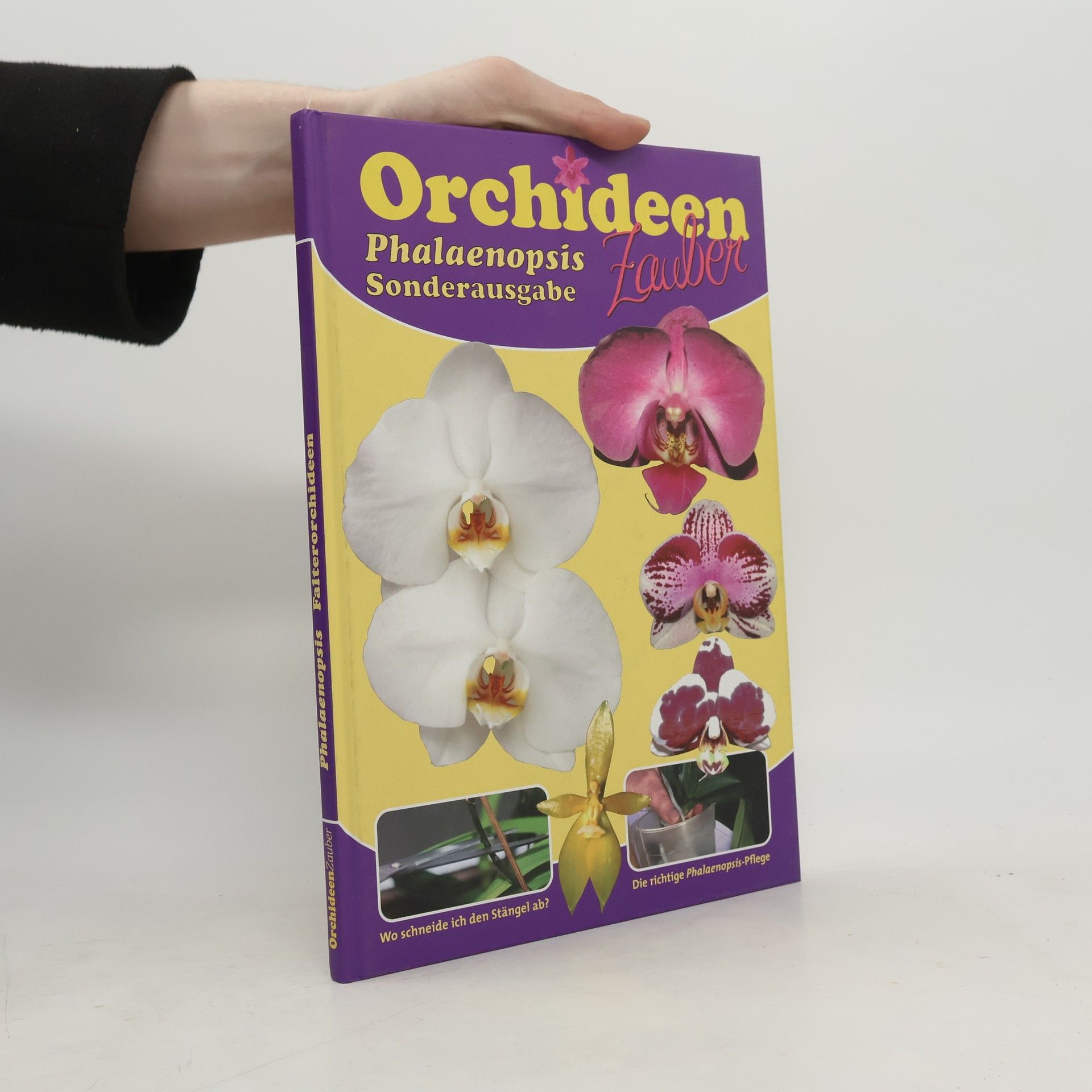 Zauberhafte Orchideen