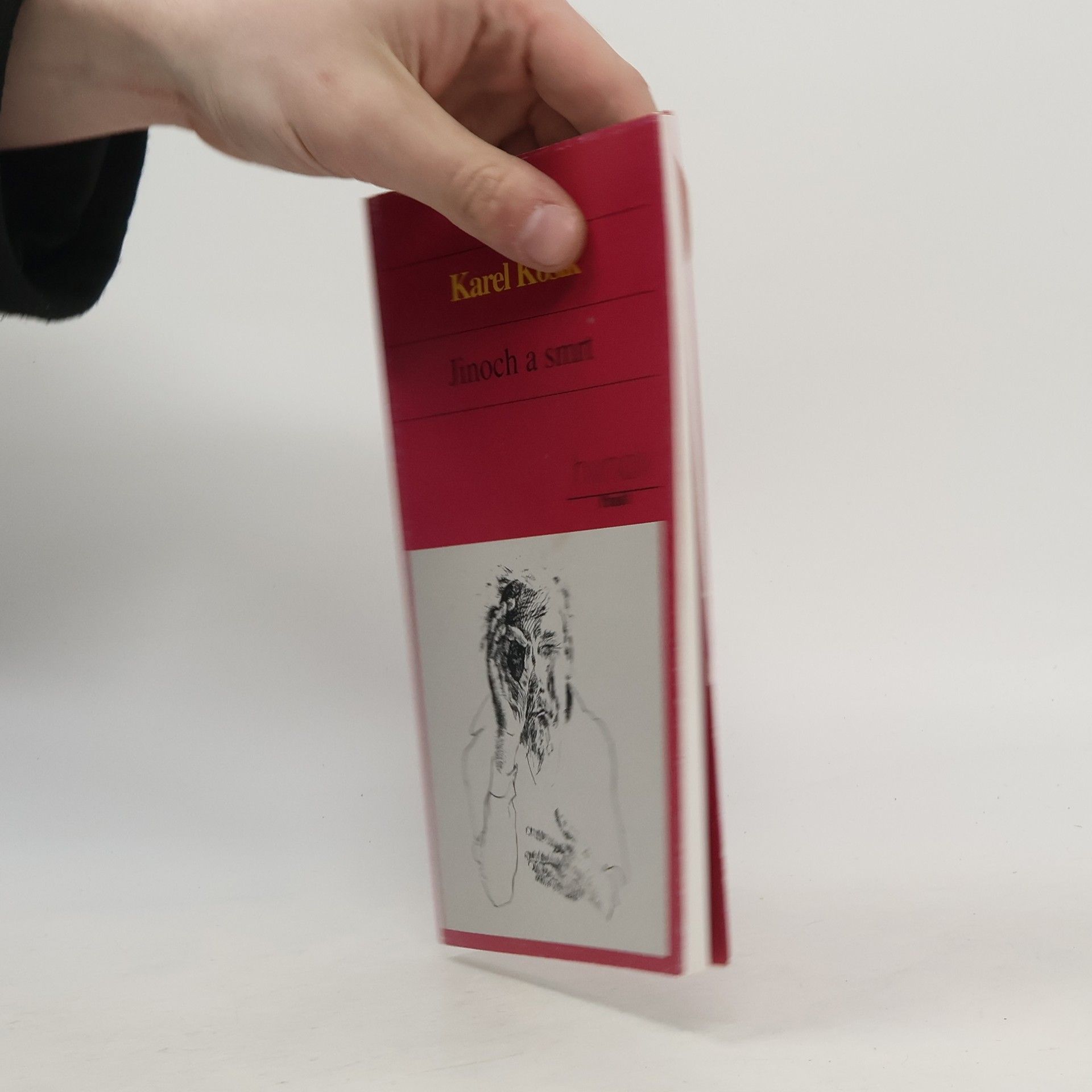 Karel Kosik Jinoch a smrt