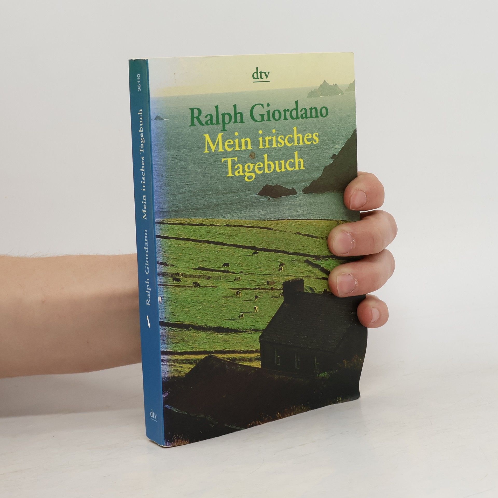 Ralph Giordano Mein irisches Tagebuch