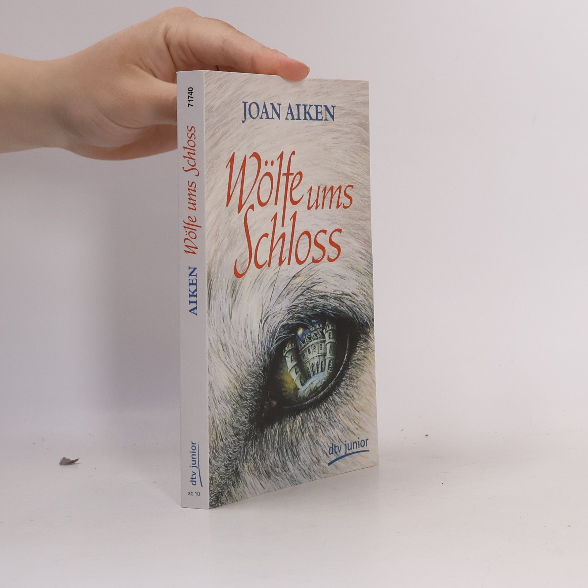 Joan Aiken Wölfe ums Schloss