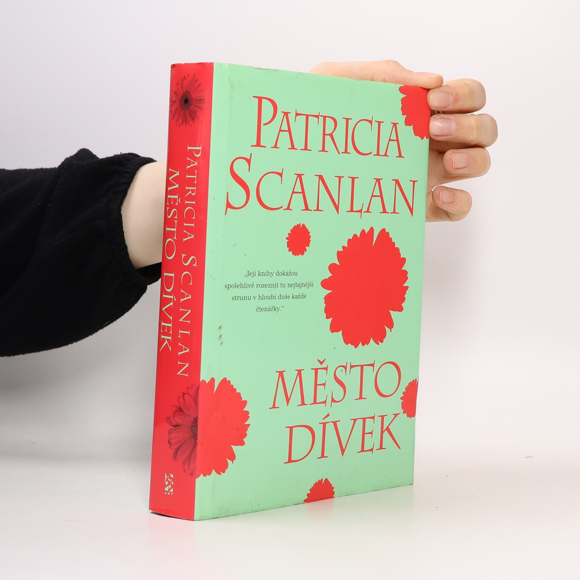 Patricia Scanlan Město dívek