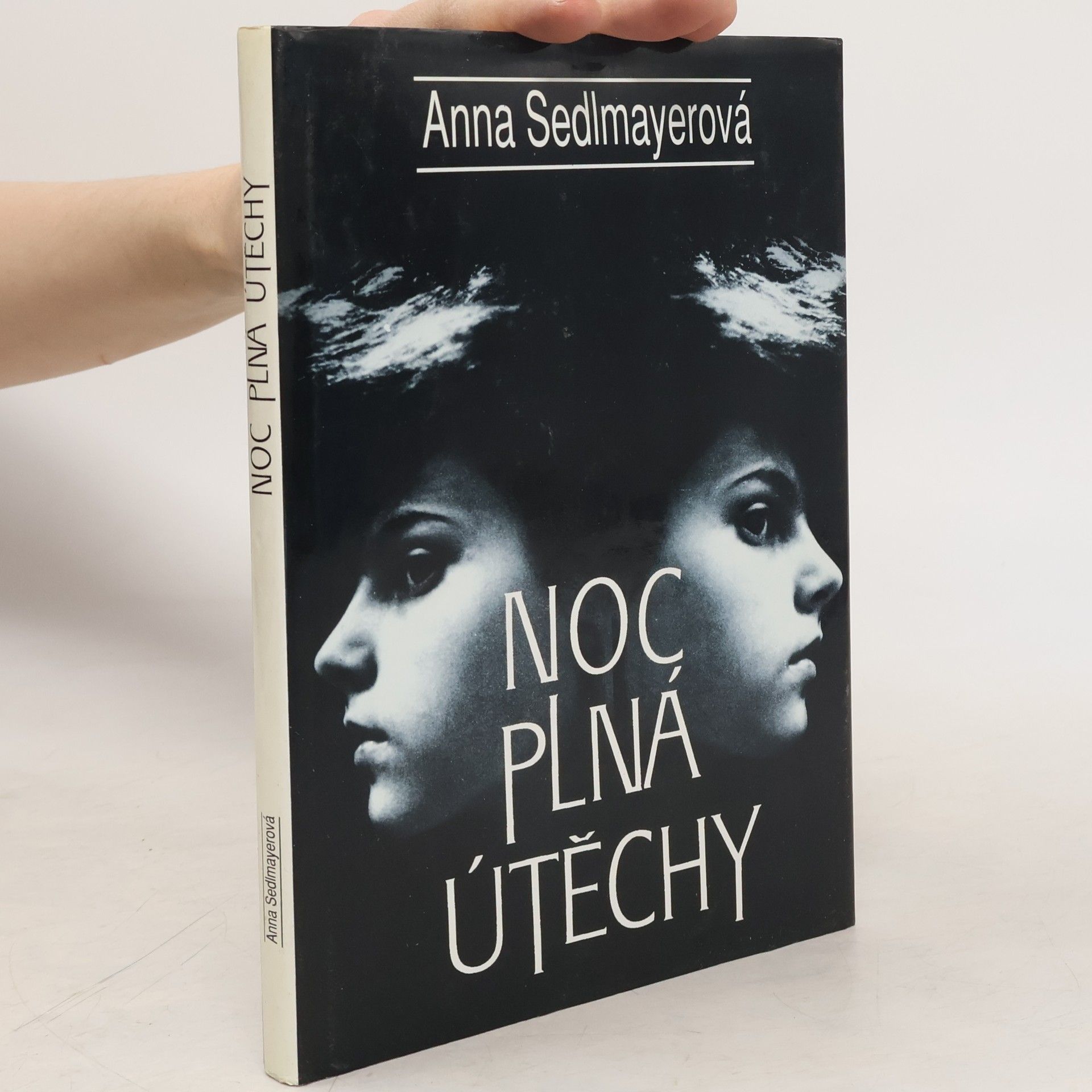 Anna Sedlmayerová Noc plná útěchy