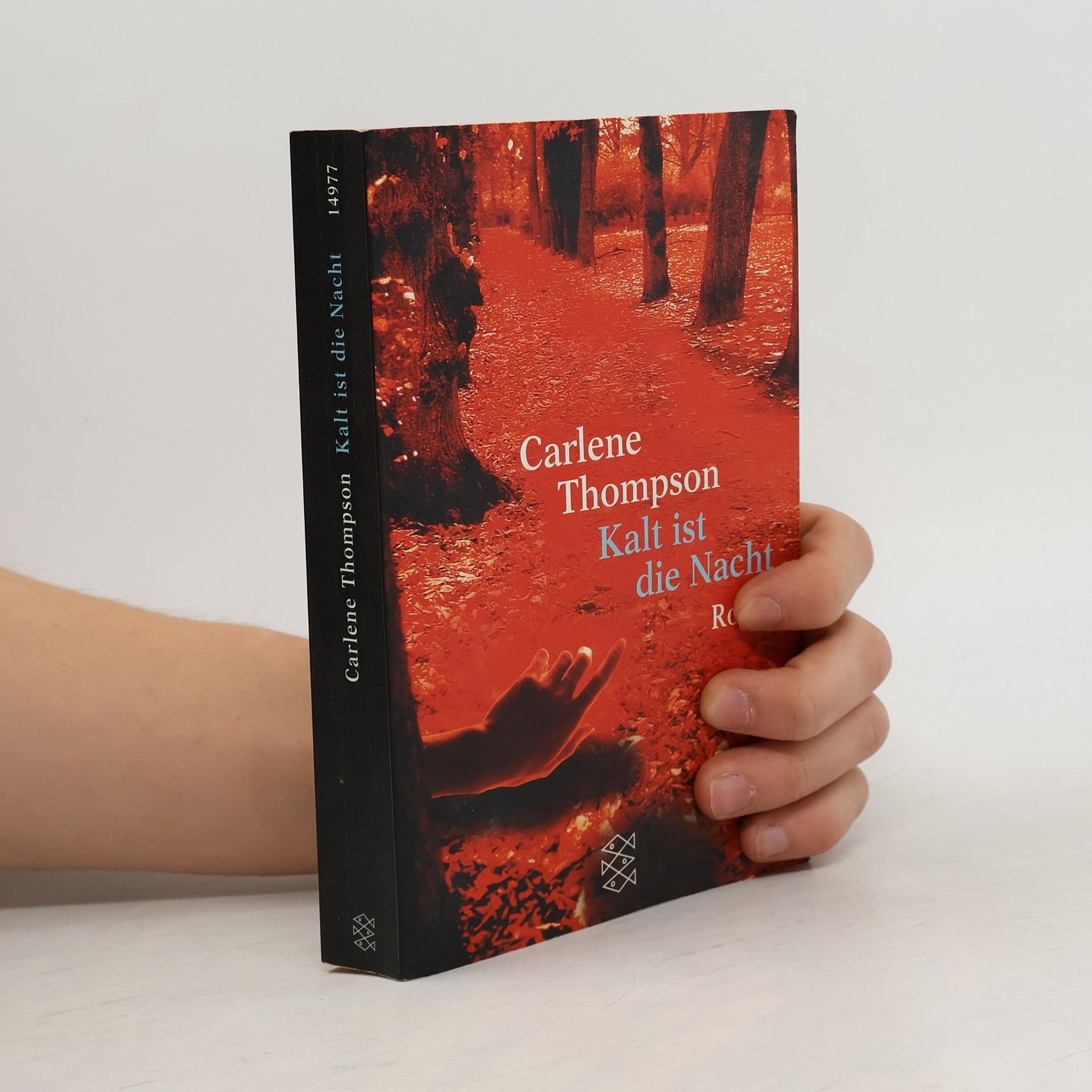 Carlene Thompson Kalt ist die Nacht