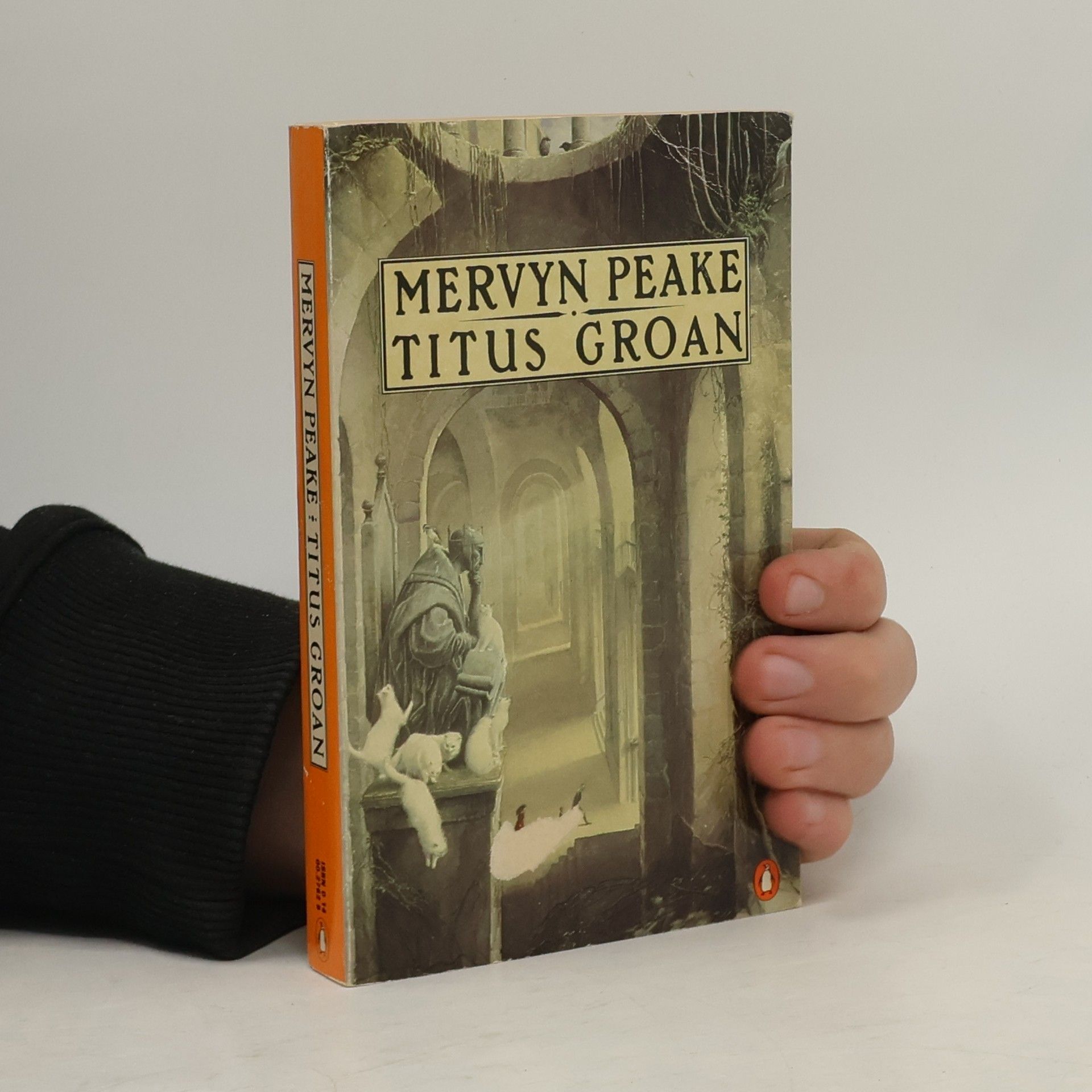 Mervyn Peake Titus Groan