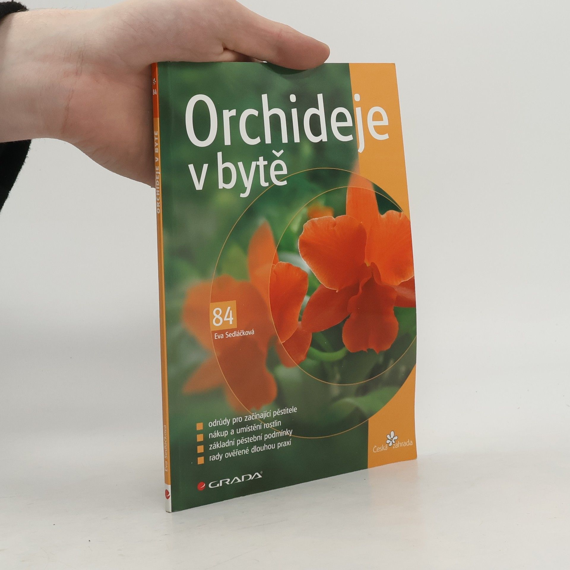 Eva Sedláčková Orchideje v bytě