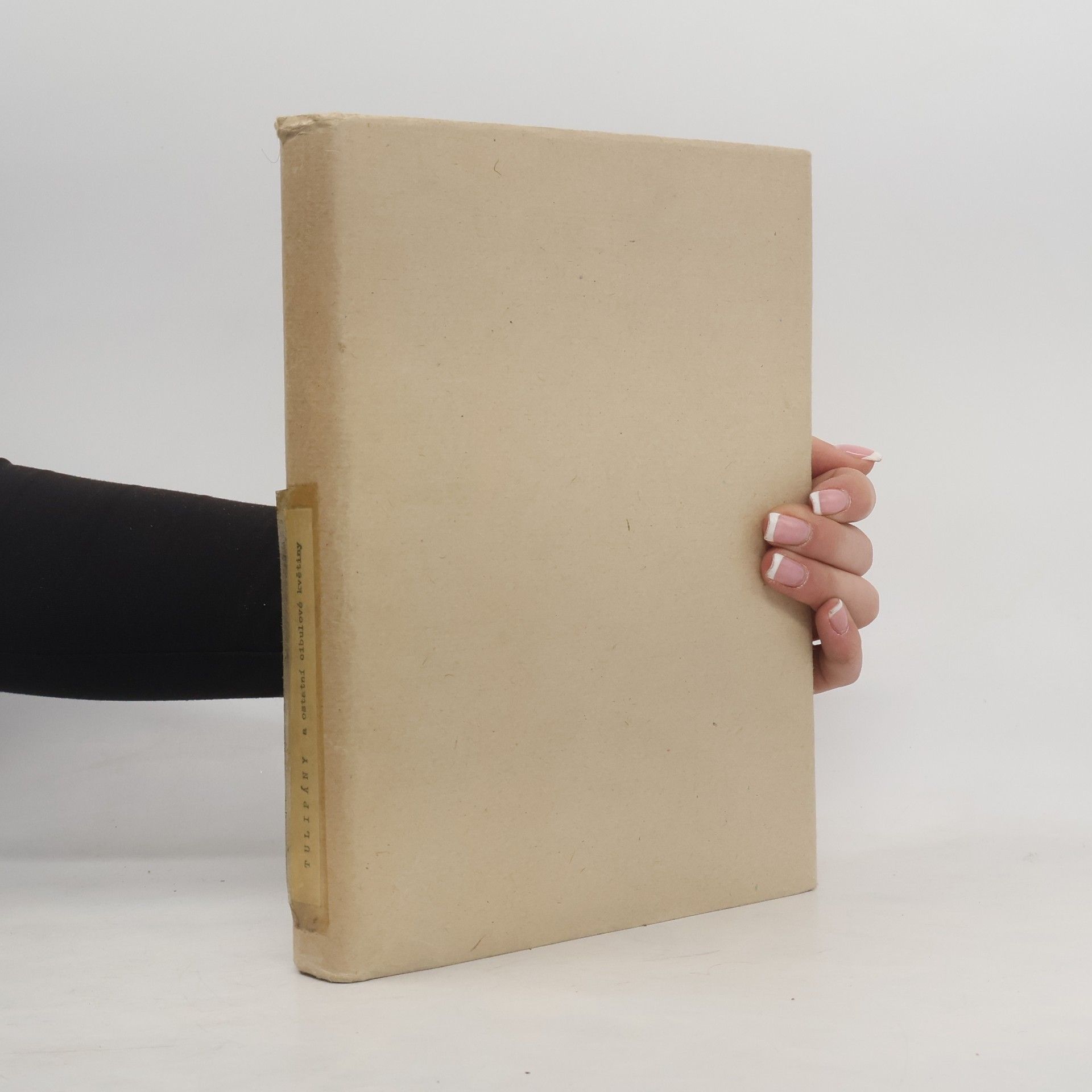 Tulipány a ostatní sibulové květiny