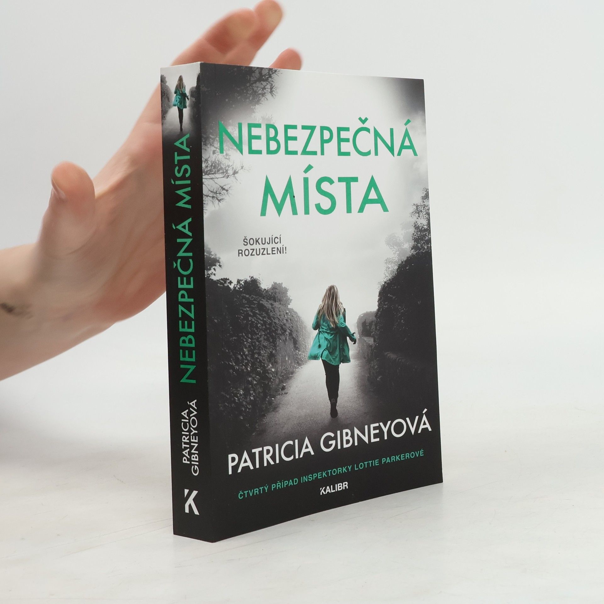 Patricia Gibney Nebezpečná místa