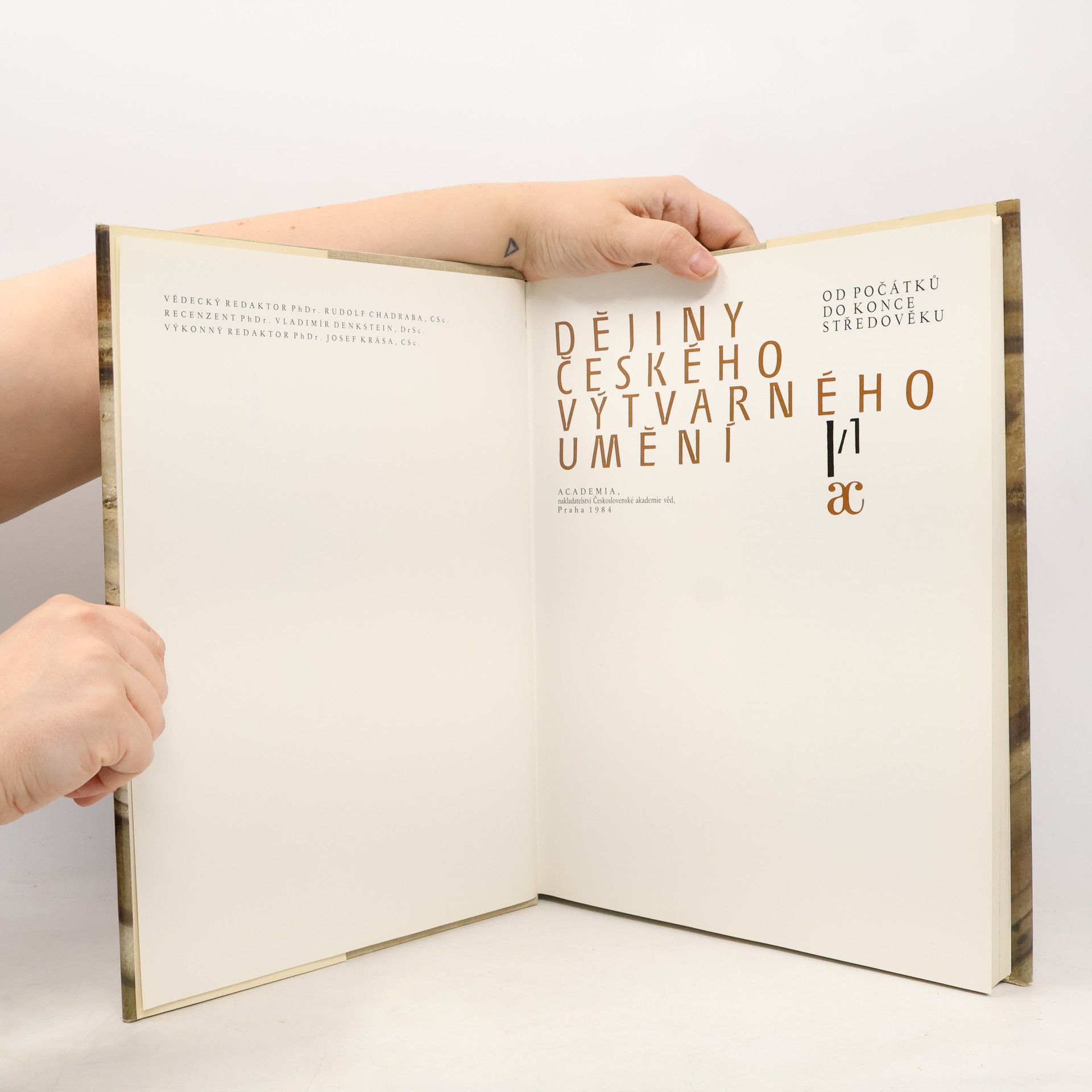 Various authors Dějiny českého výtvarného umění I/1