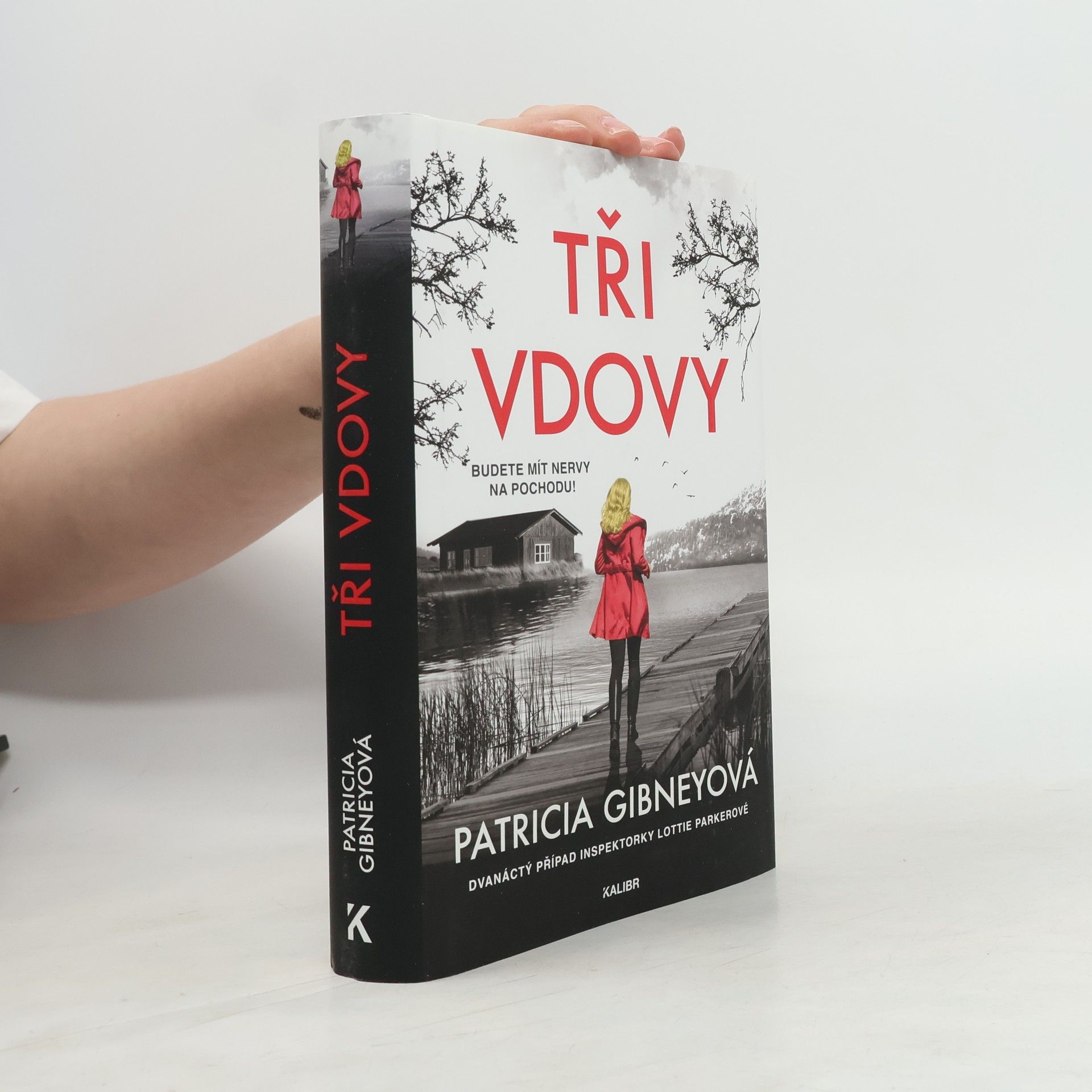 Patricia Gibney Tři vdovy