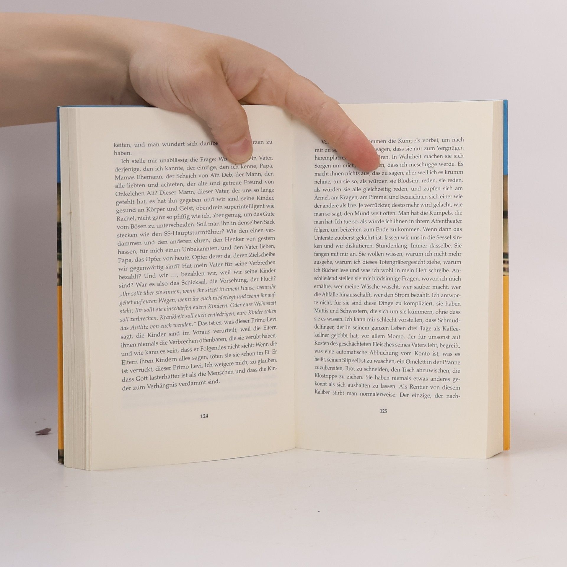 Boualem Sansal Das Dorf des Deutschen oder das Tagebuch der Brüder Schiller