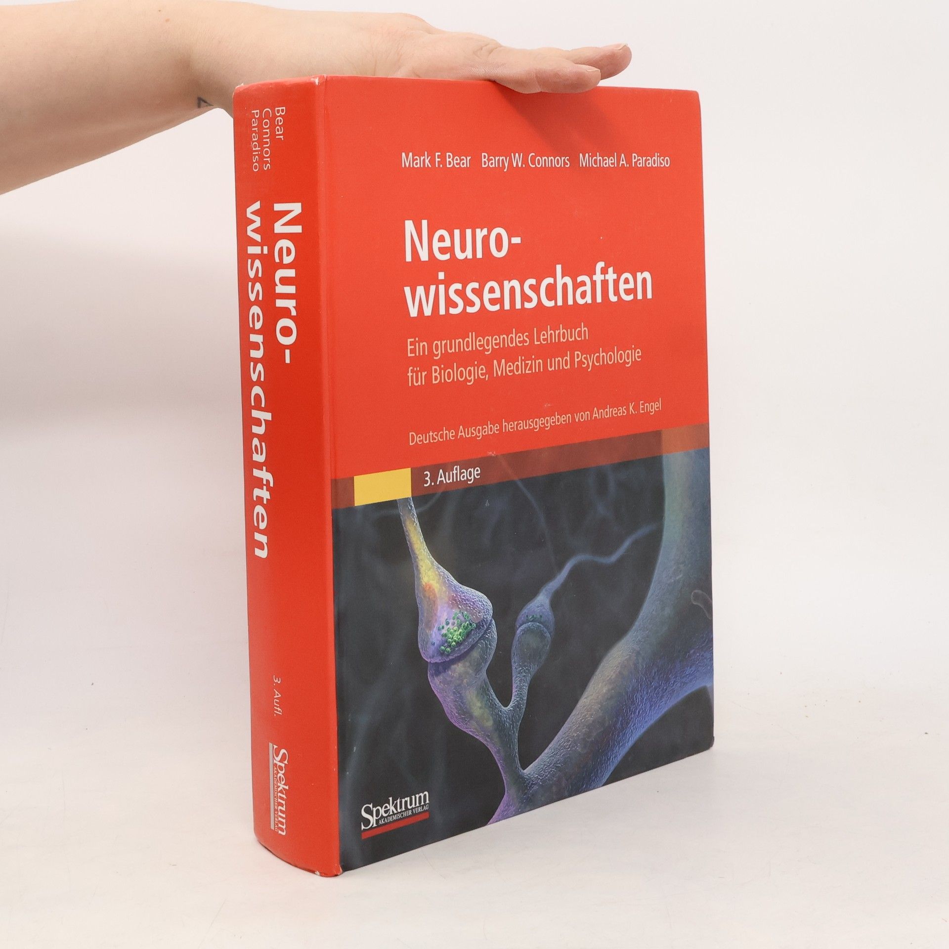 Mark F. Bear Neurowissenschaften