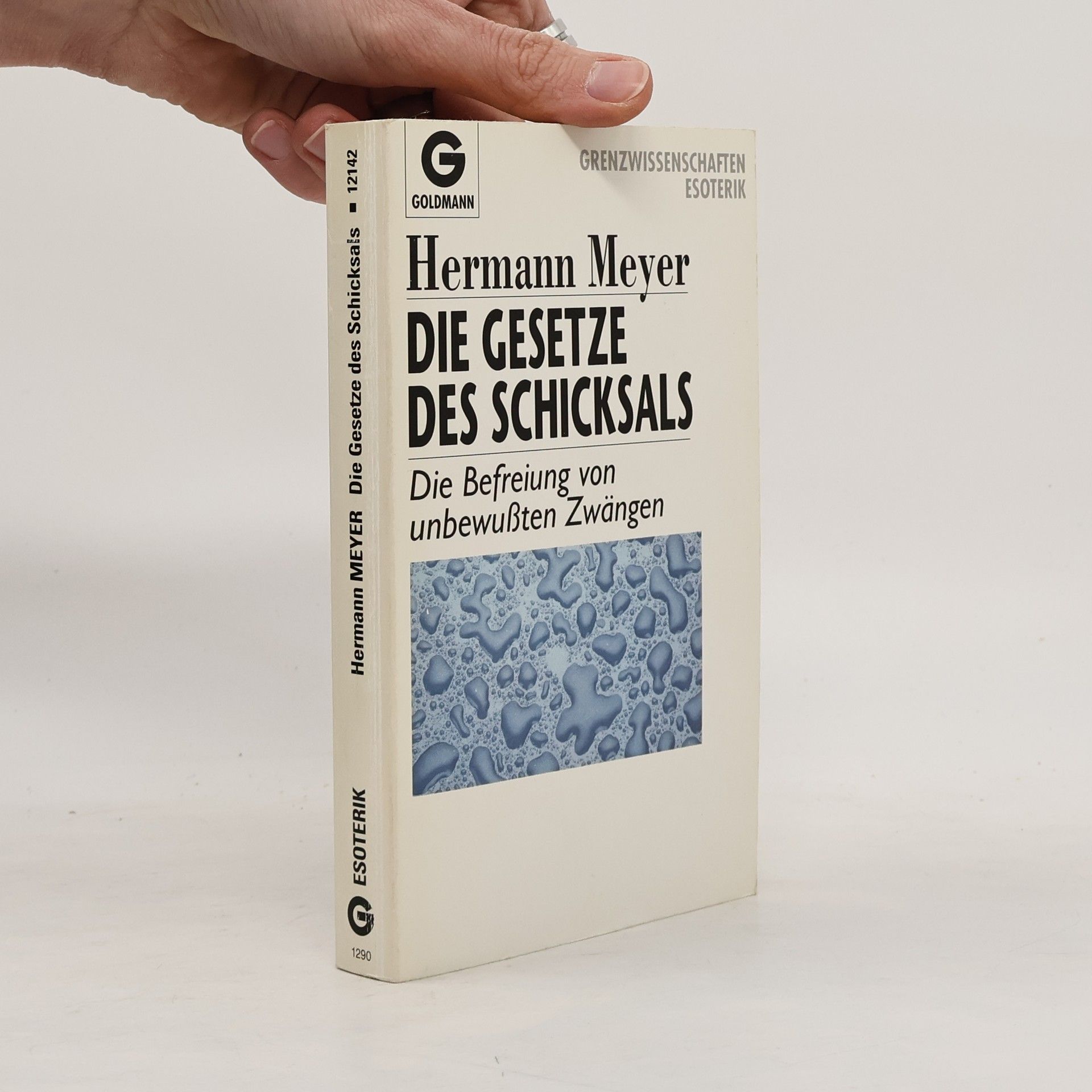 Herman Meyer Die Gesetze des Schicksals