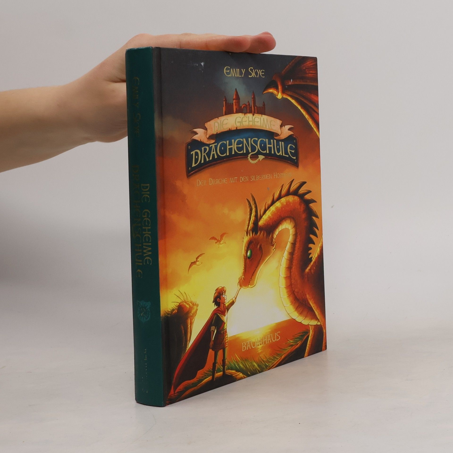Emily Skye Der Drache mit den silbernen Hörnern