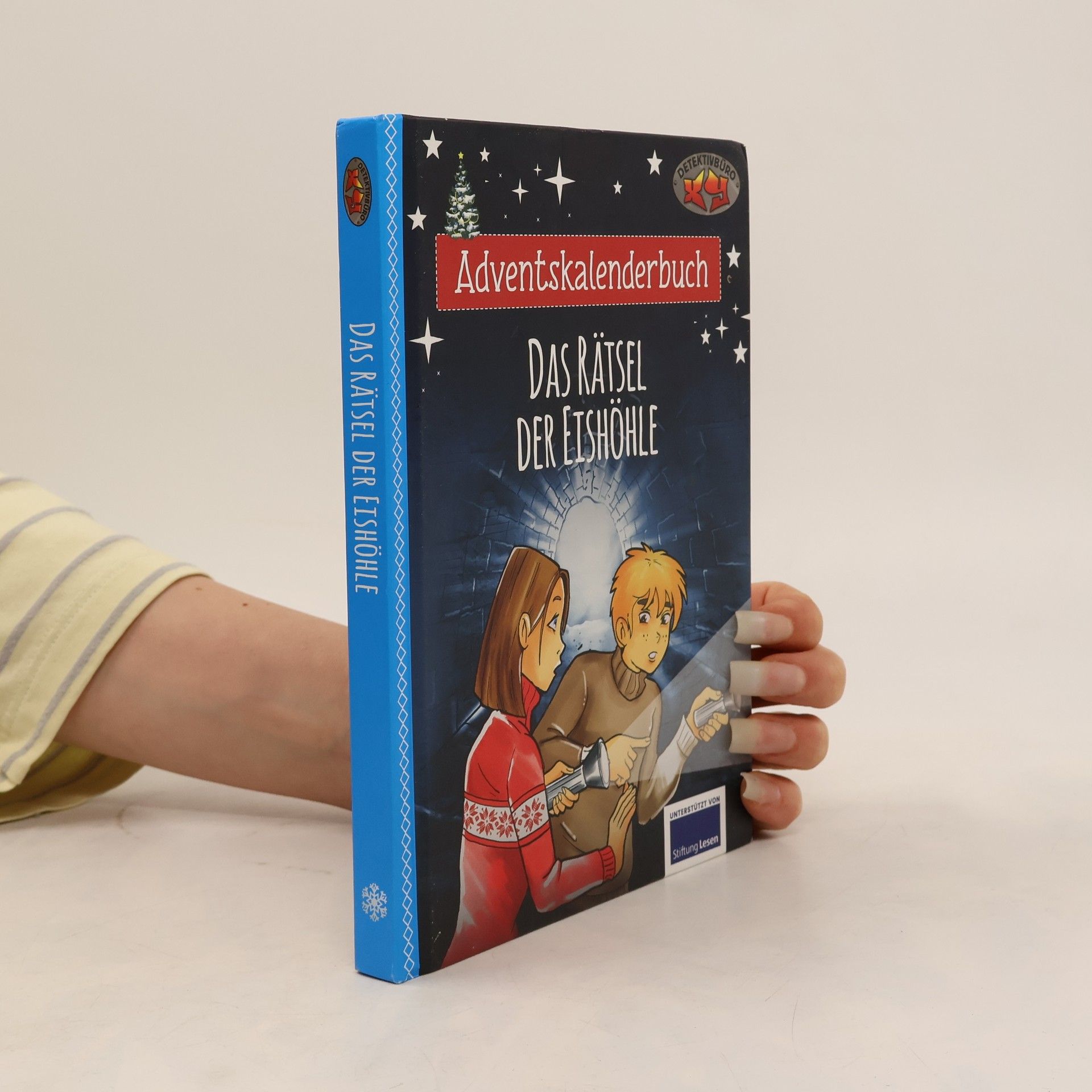 Kolektív autorov Adventskalenderbuch. Das Rätsel der Eishöhle
