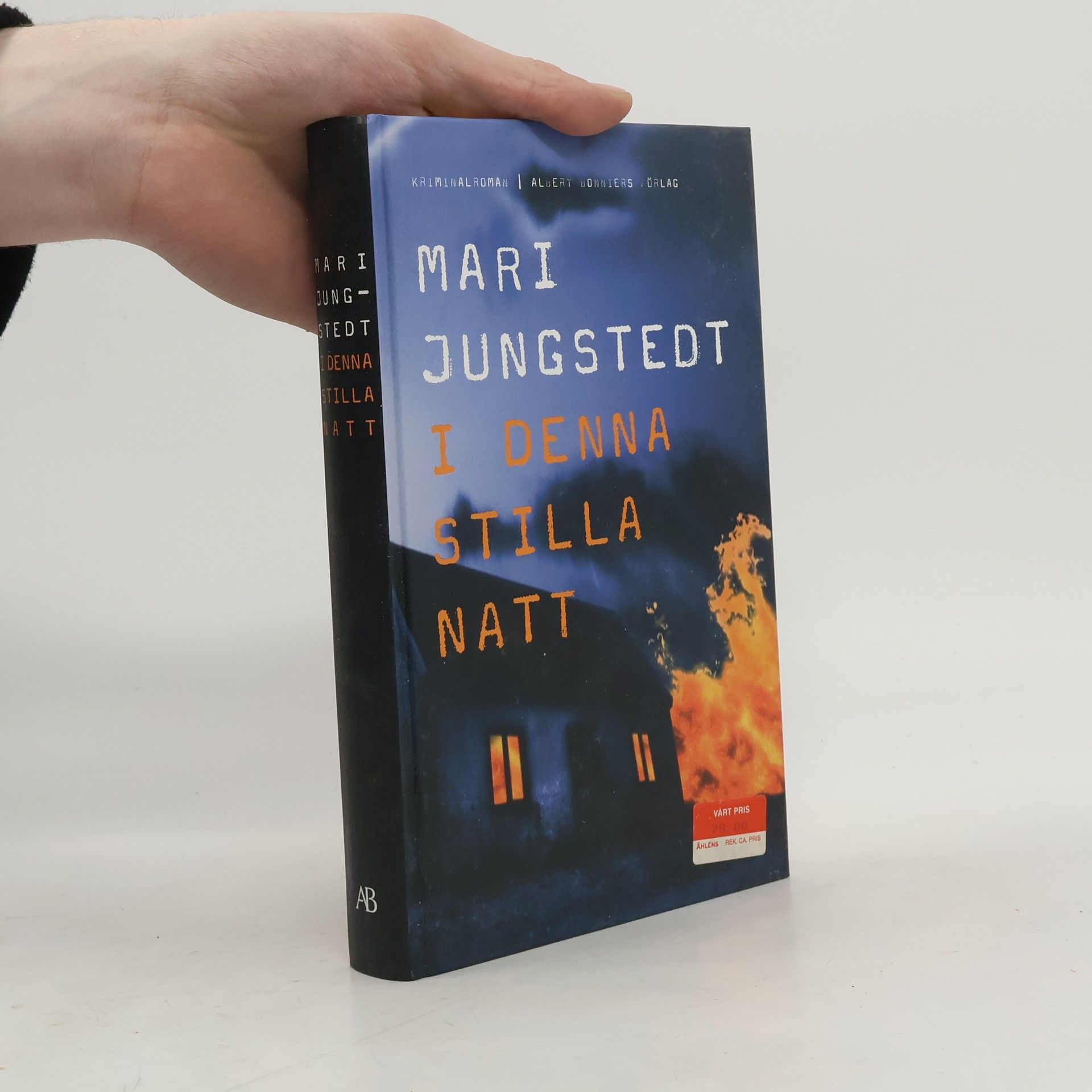 Mari Jungstedt I denna stilla natt