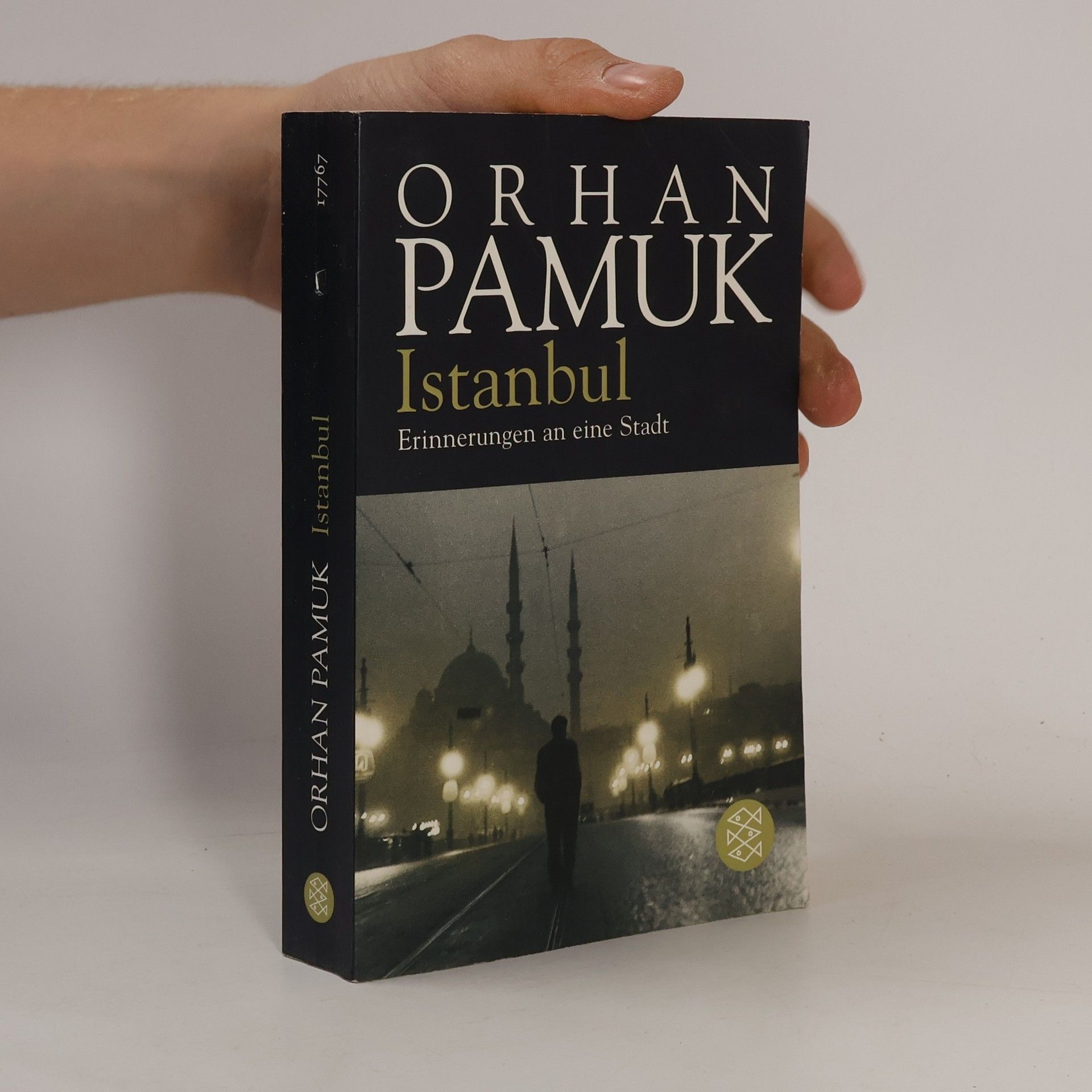 Orhan Pamuk Istanbul - Erinnerungen an eine Stadt