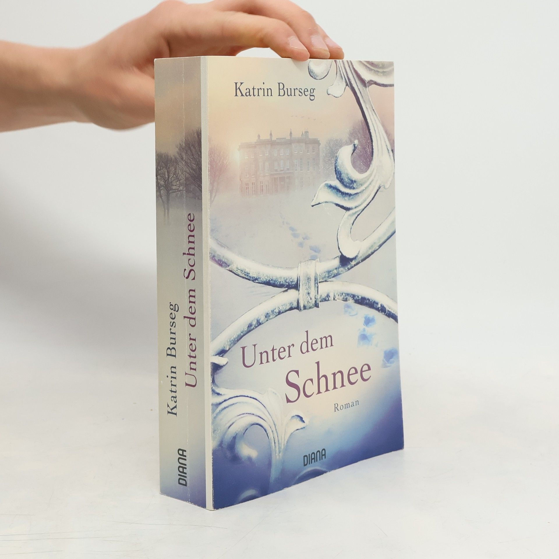 Katrin Burseg Unter dem Schnee