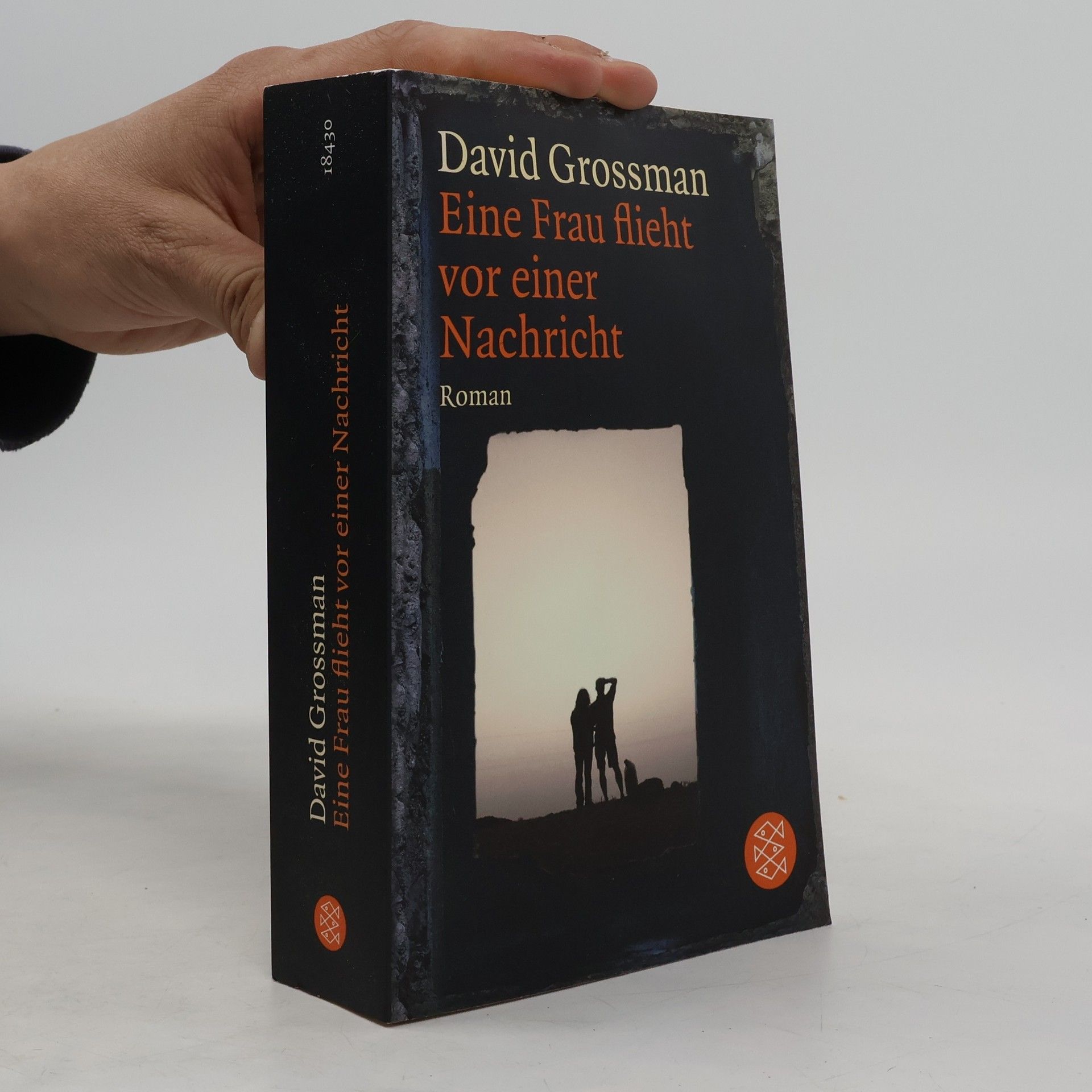 David Grossman Eine Frau flieht vor einer Nachricht