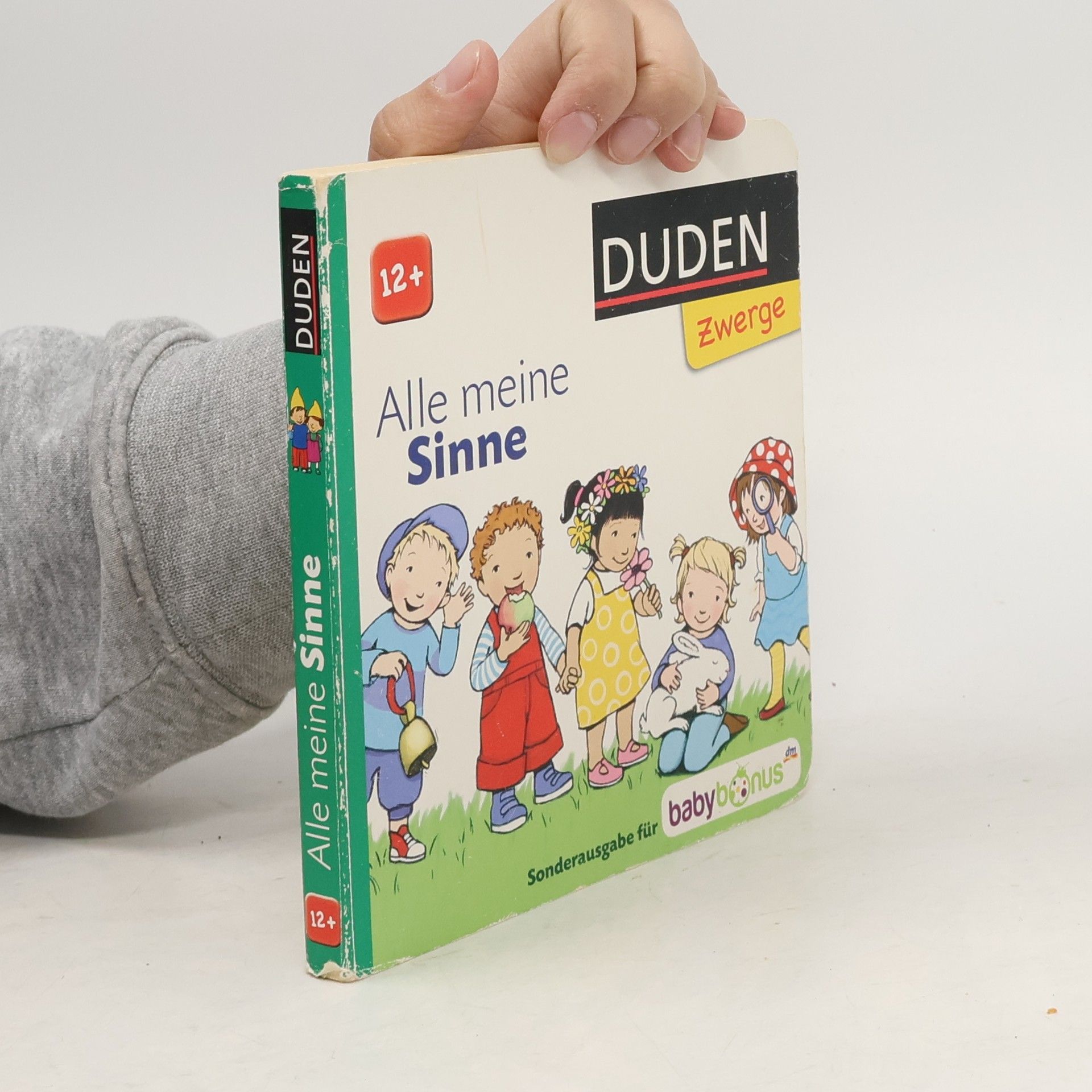 Kolektiv autorů Alle meine Sinne